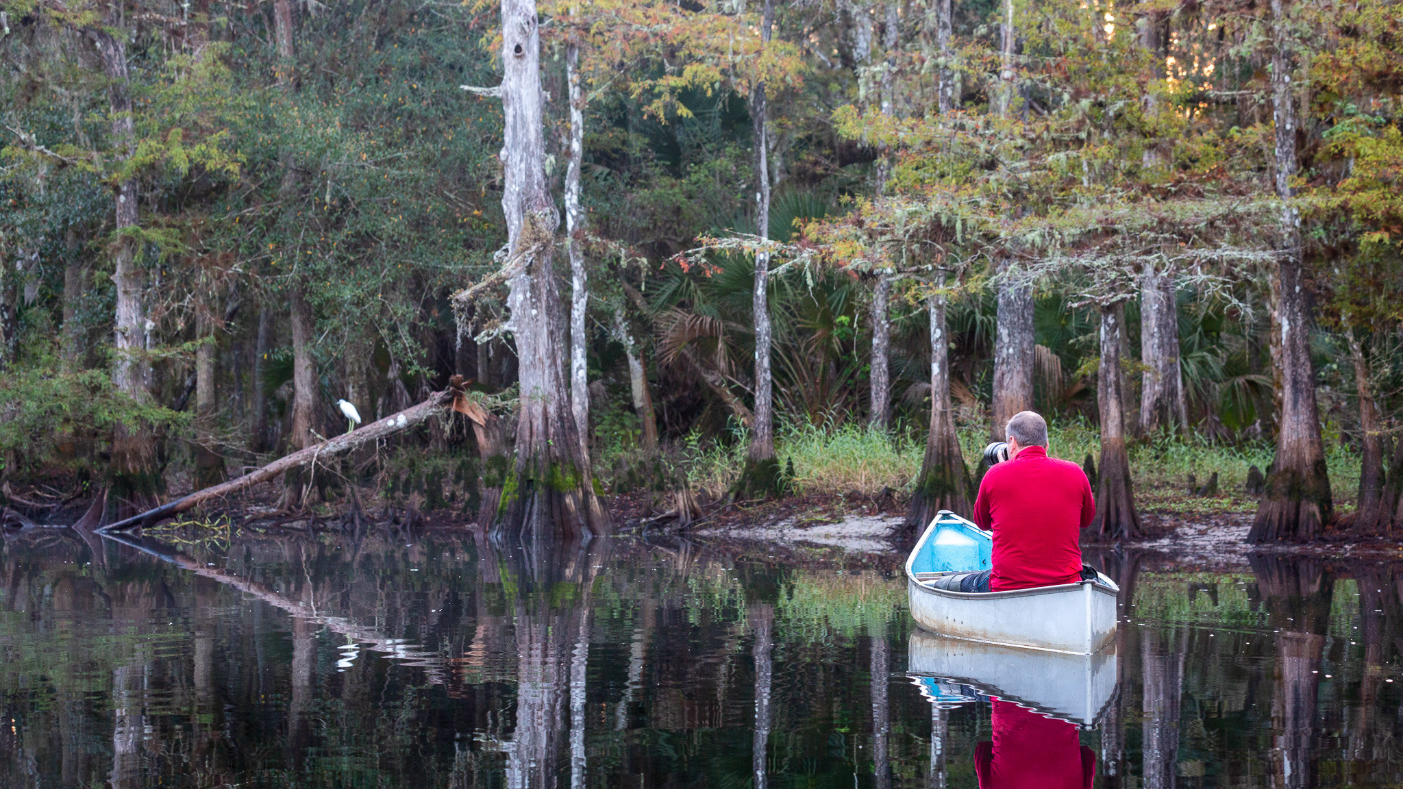 1-Day Eco-Adventure Tour “Alligators, Birds and Cypress”. Alex Mironyuk Photography