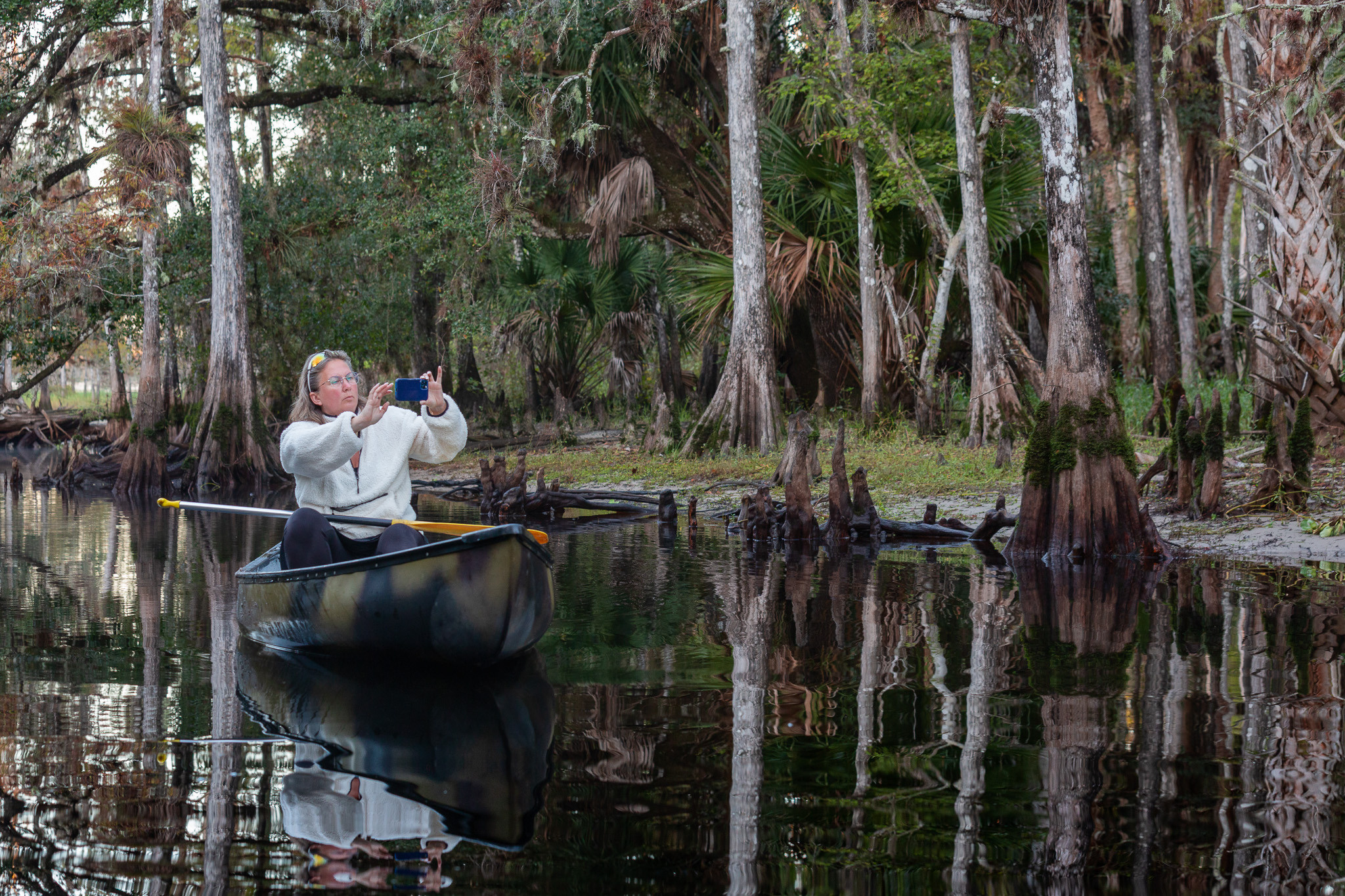 1-Day Eco-Adventure Tour “Alligators, Birds and Cypress”. Alex Mironyuk Photography