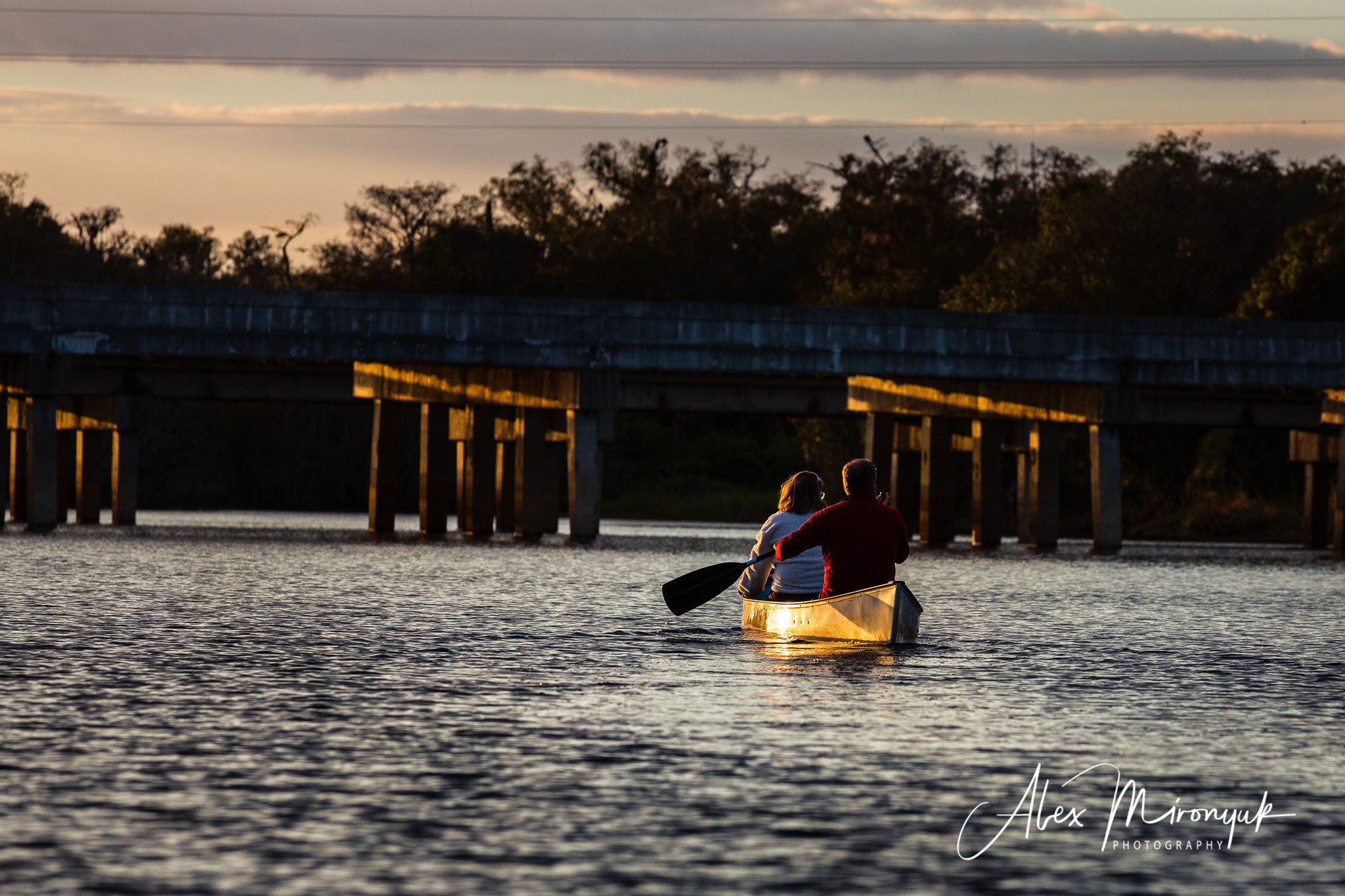1-Day Eco-Adventure Tour “Alligators, Birds and Cypress”. Alex Mironyuk Photography