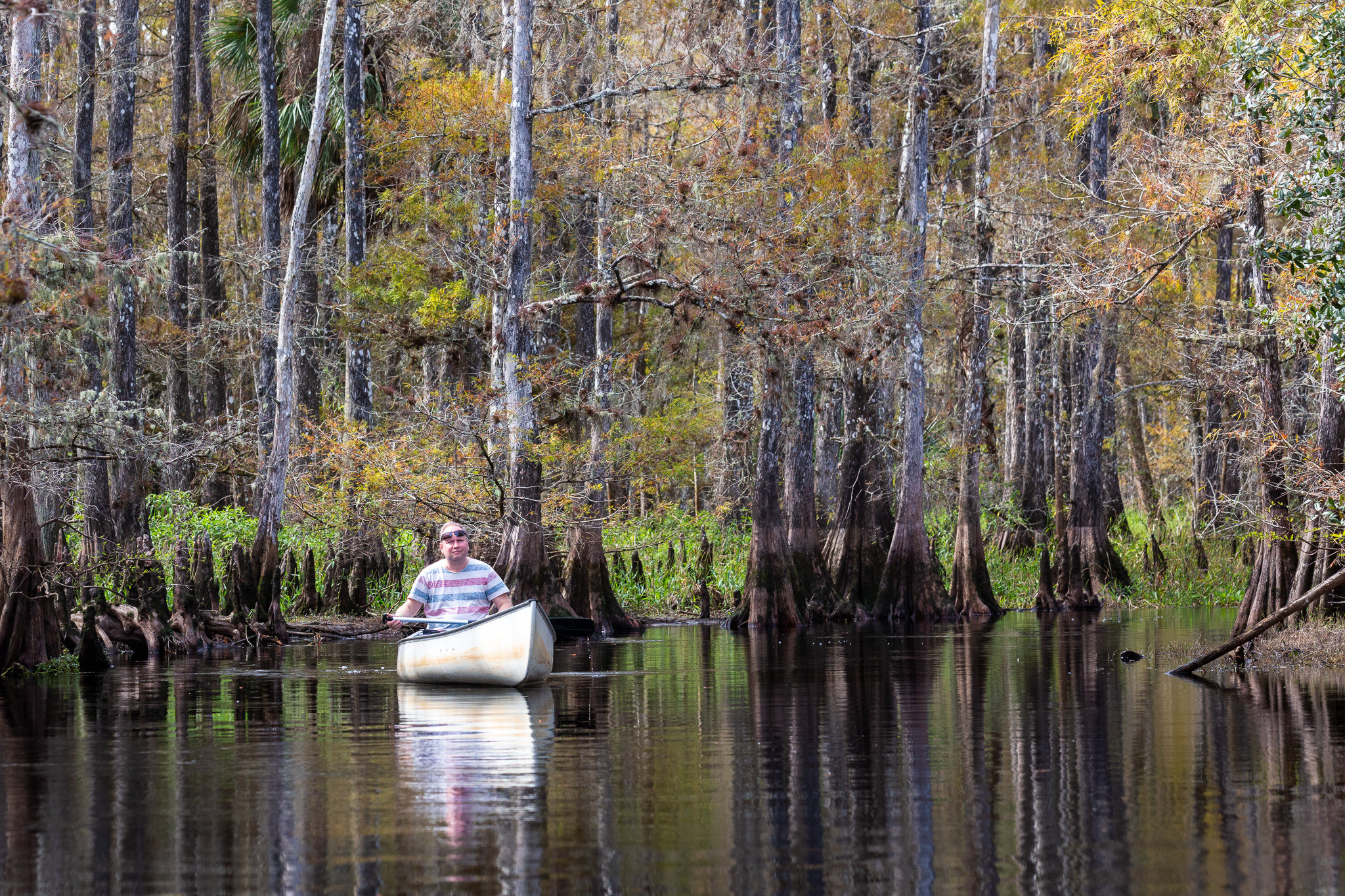 1-Day Eco-Adventure Tour “Alligators, Birds and Cypress”. Alex Mironyuk Photography