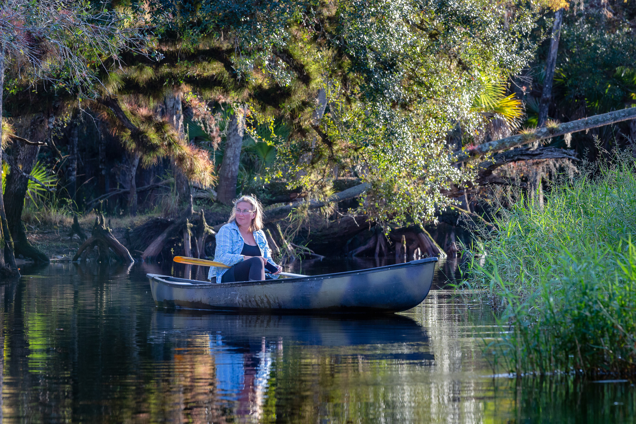 1-Day Eco-Adventure Tour “Alligators, Birds and Cypress”. Alex Mironyuk Photography