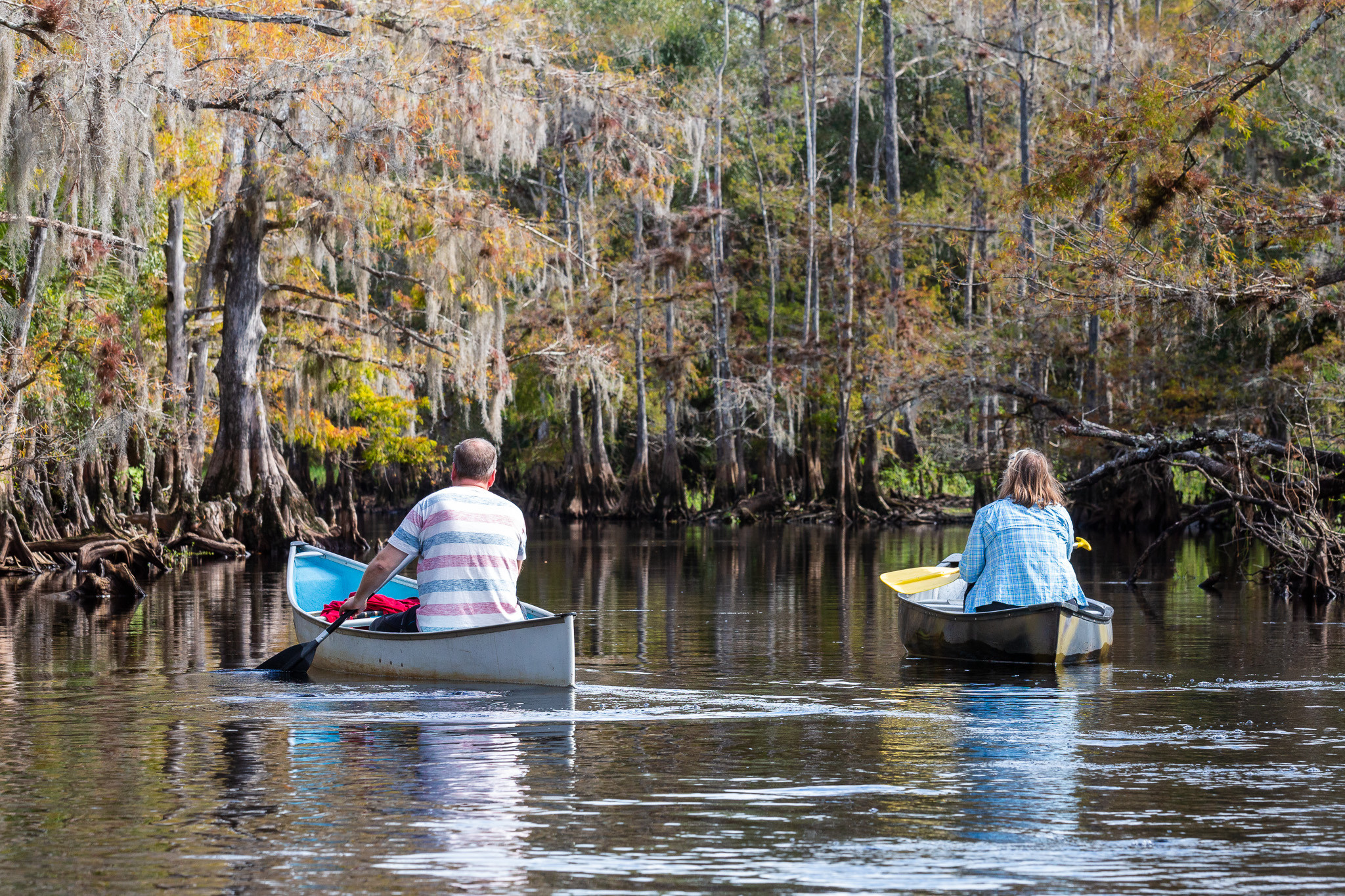 1-Day Eco-Adventure Tour “Alligators, Birds and Cypress”. Alex Mironyuk Photography