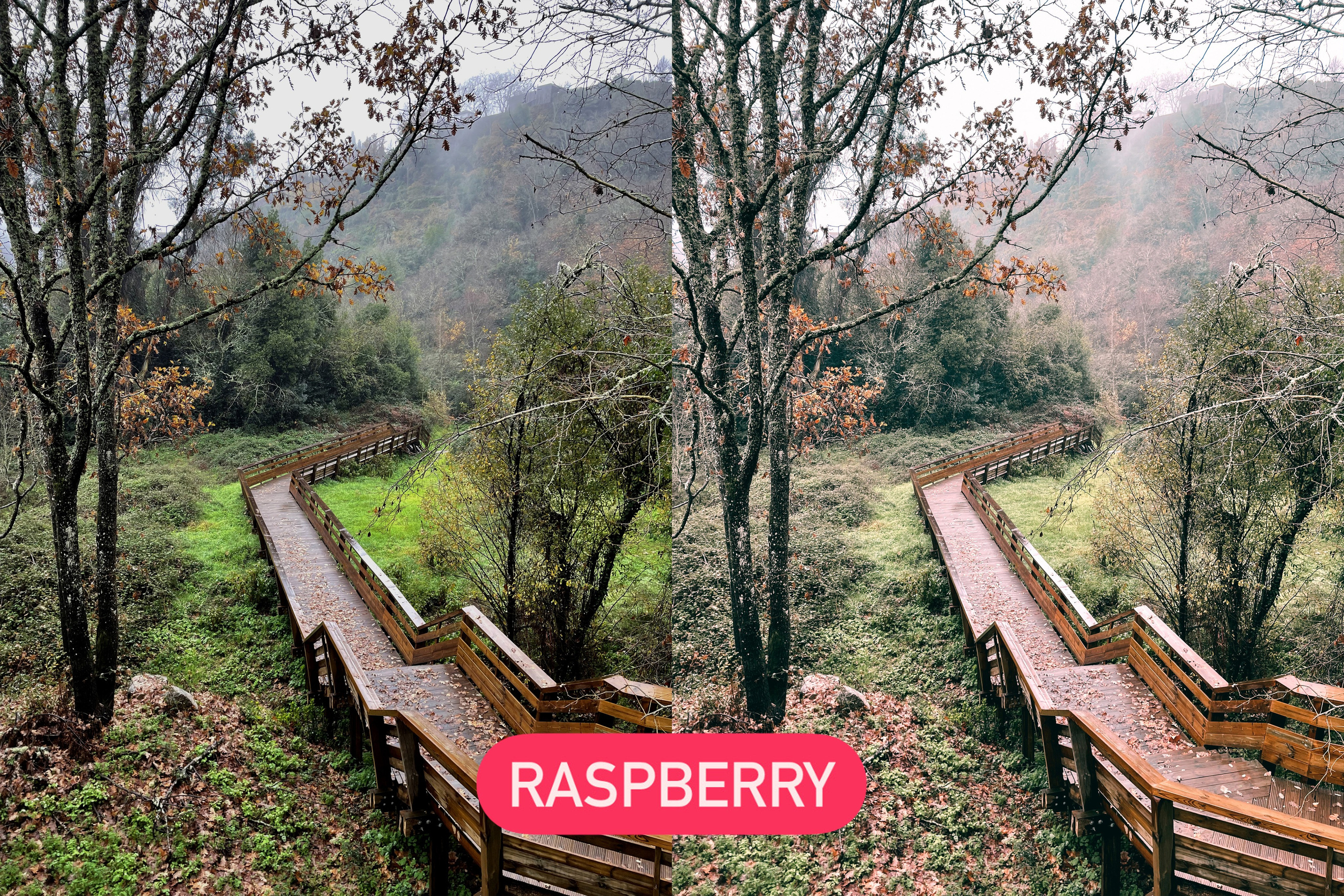 Presets. Photo and video shoots, photo tours in Portugal — WePortugal