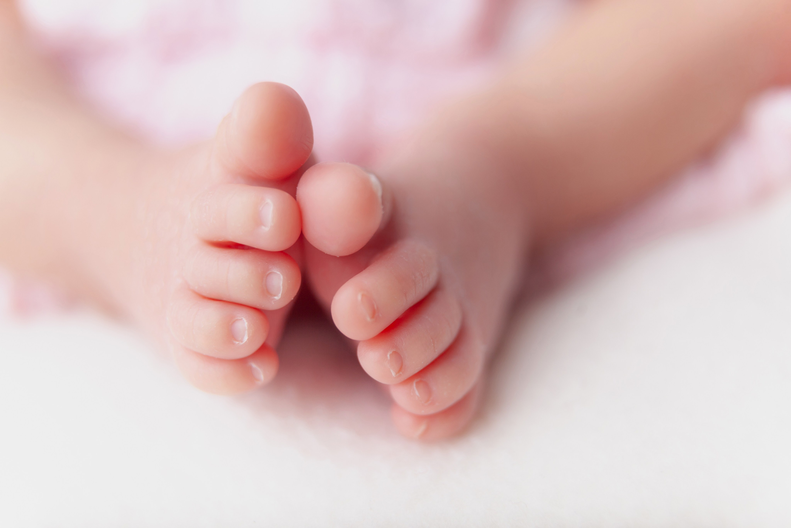 Newborn posing session. Marina Pravda Photography San Francisco Bay Area