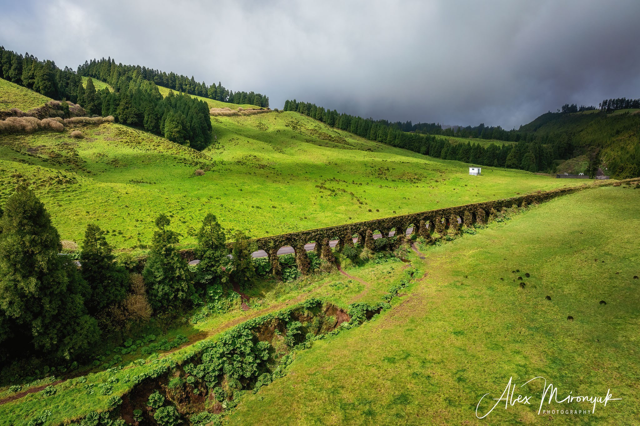 Azores And Madeira. Alex Mironyuk Photography