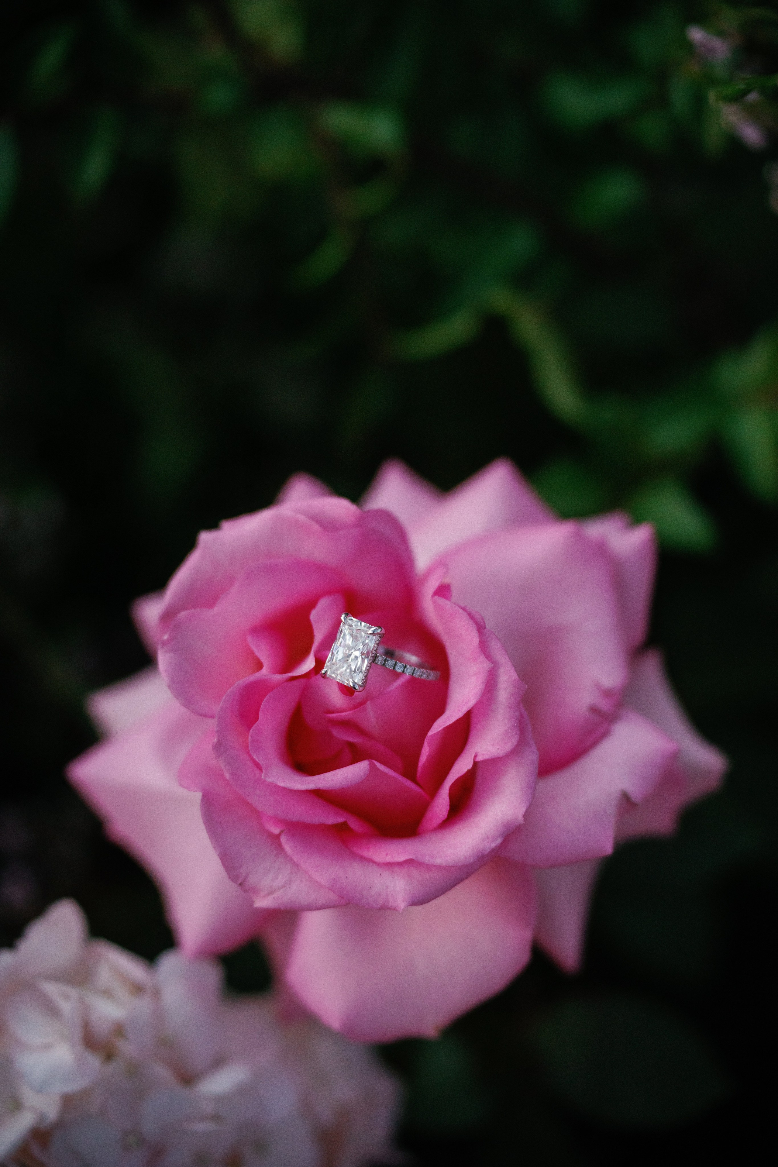 Proposals California. Wedding Photography & Videography Team in California, Los Angeles, San Francisco, San Diego and Travel