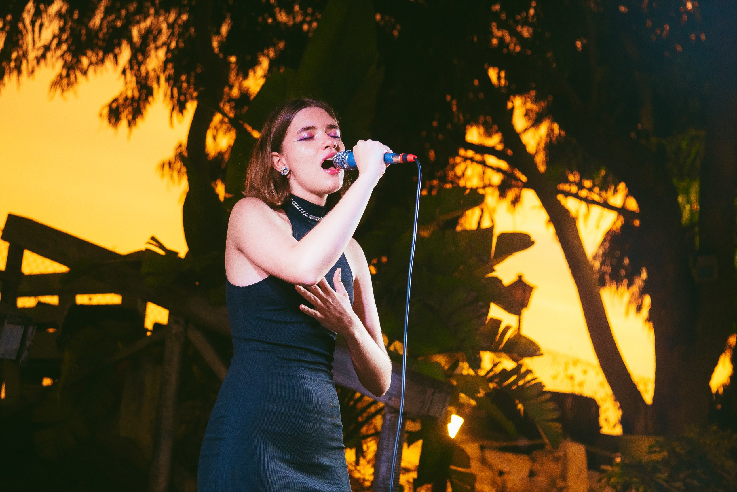 Photo report from a creative evening at the El Bosque Animado restaurant, Torrevieja