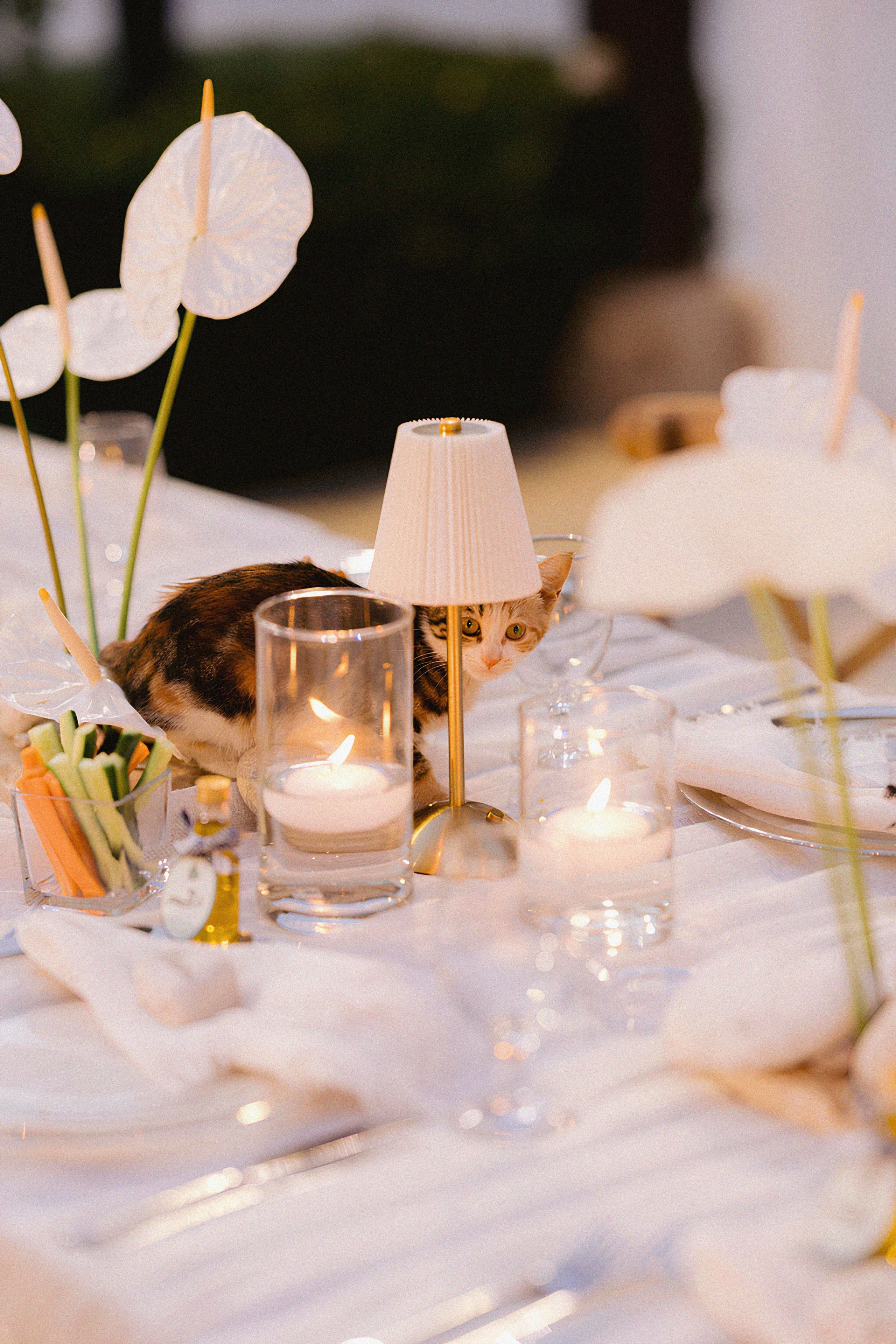 ГРЕЧЕСКАЯ ORTHODOX ЦЕРЕМОНИЯ И LUXURY GARDEN DINNER В СТАМБУЛЕ. Элиана Плотская — организация свадеб и мероприятий в Бодруме и Стамбуле