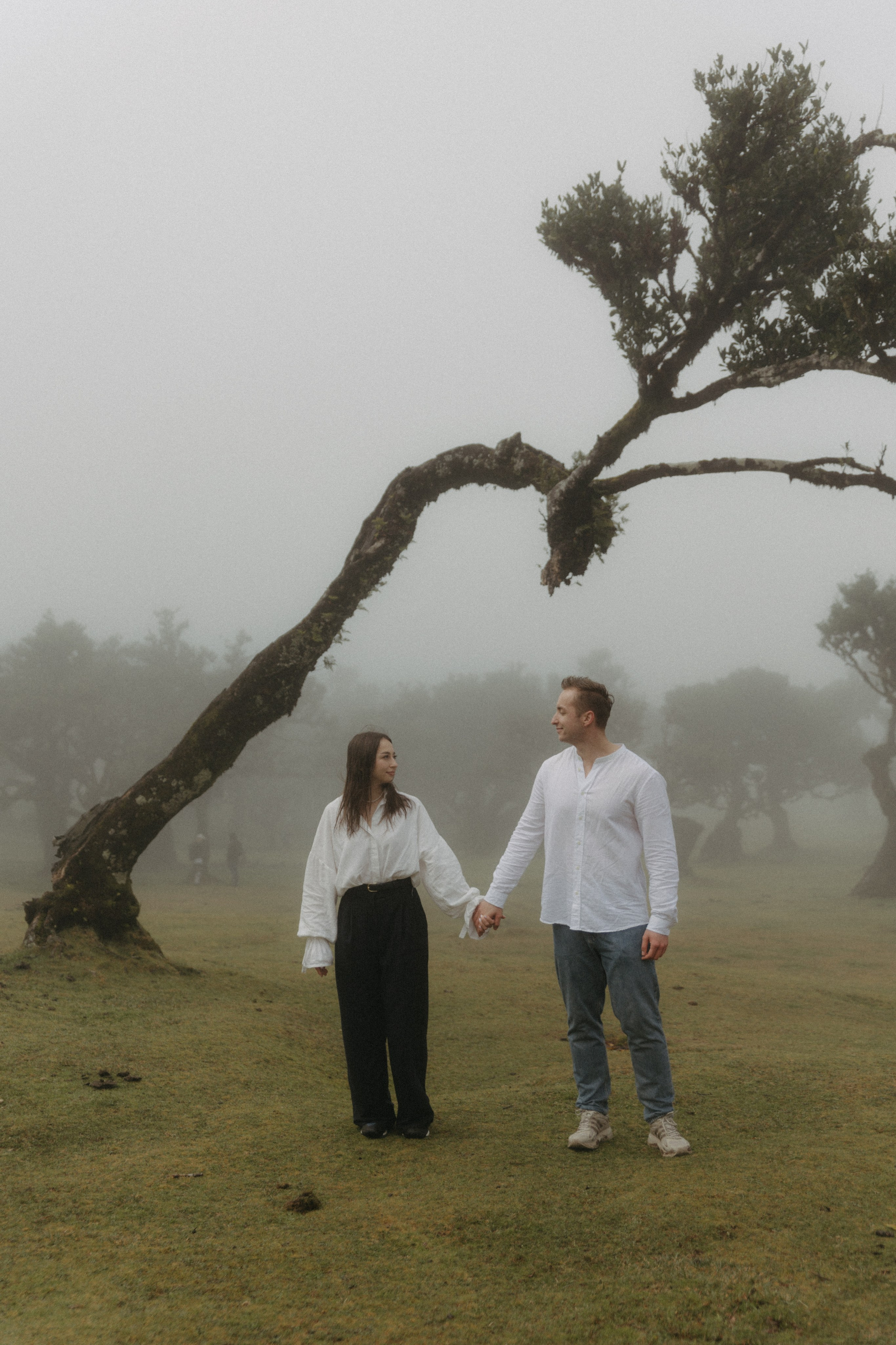 Magic of Fanal Forest. Wedding photographer and videographer based in Timisoara, Romania