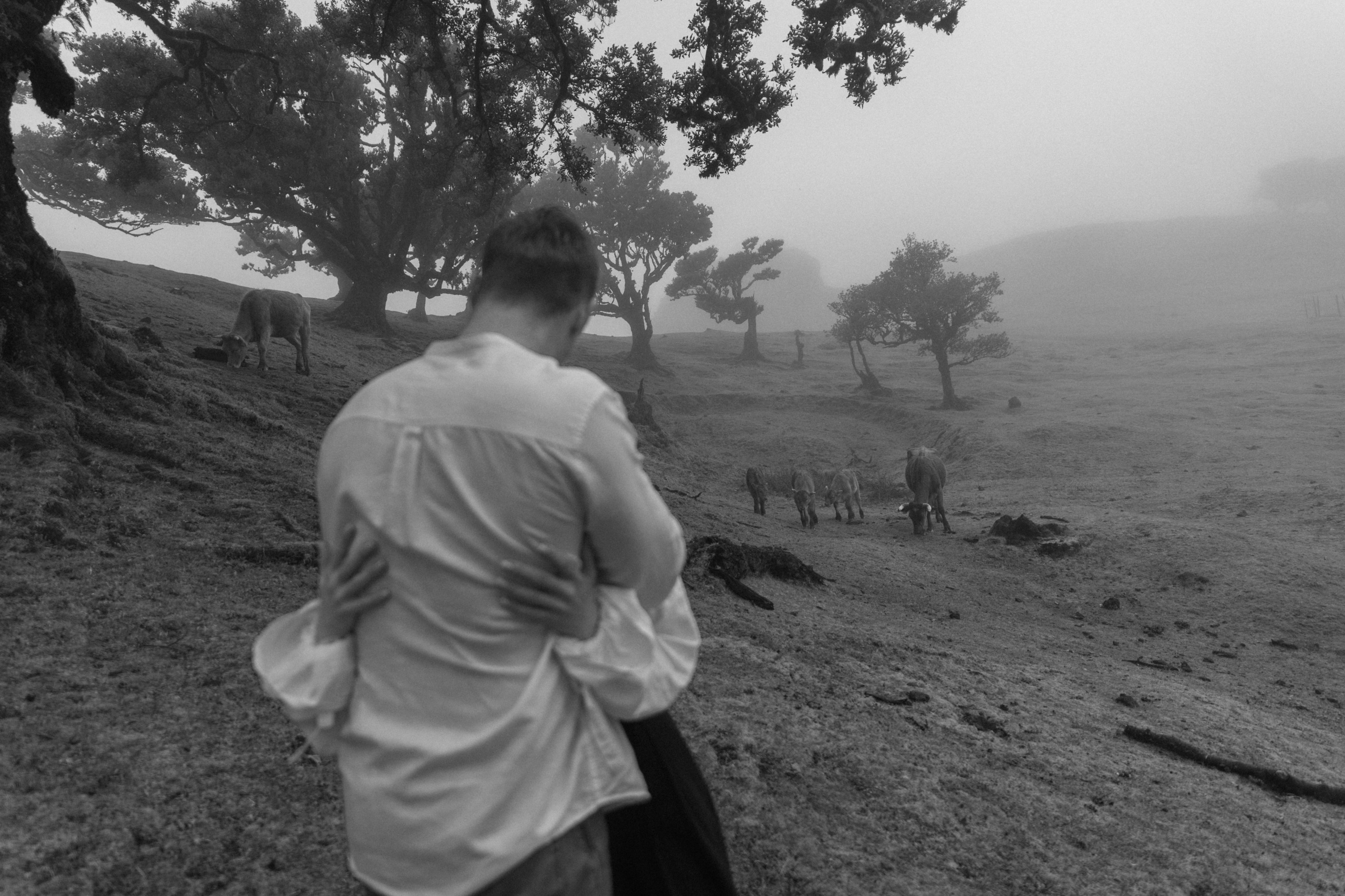 Magic of Fanal Forest. Wedding photographer and videographer based in Timisoara, Romania