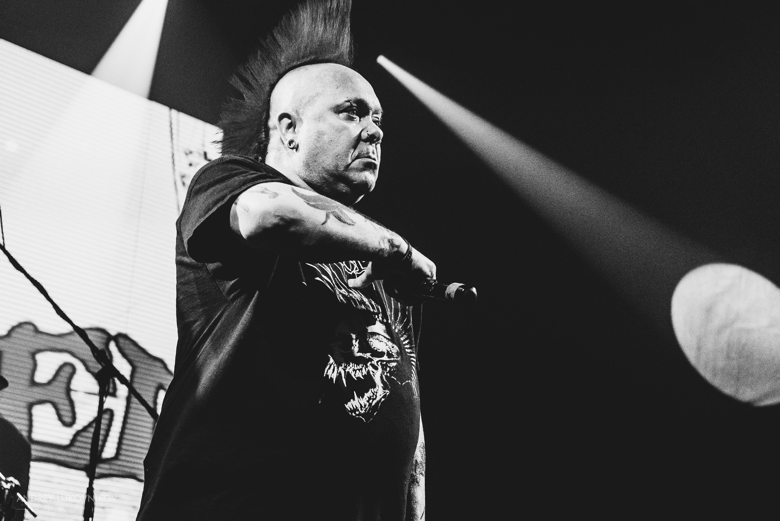 The Exploited. Tour 2017