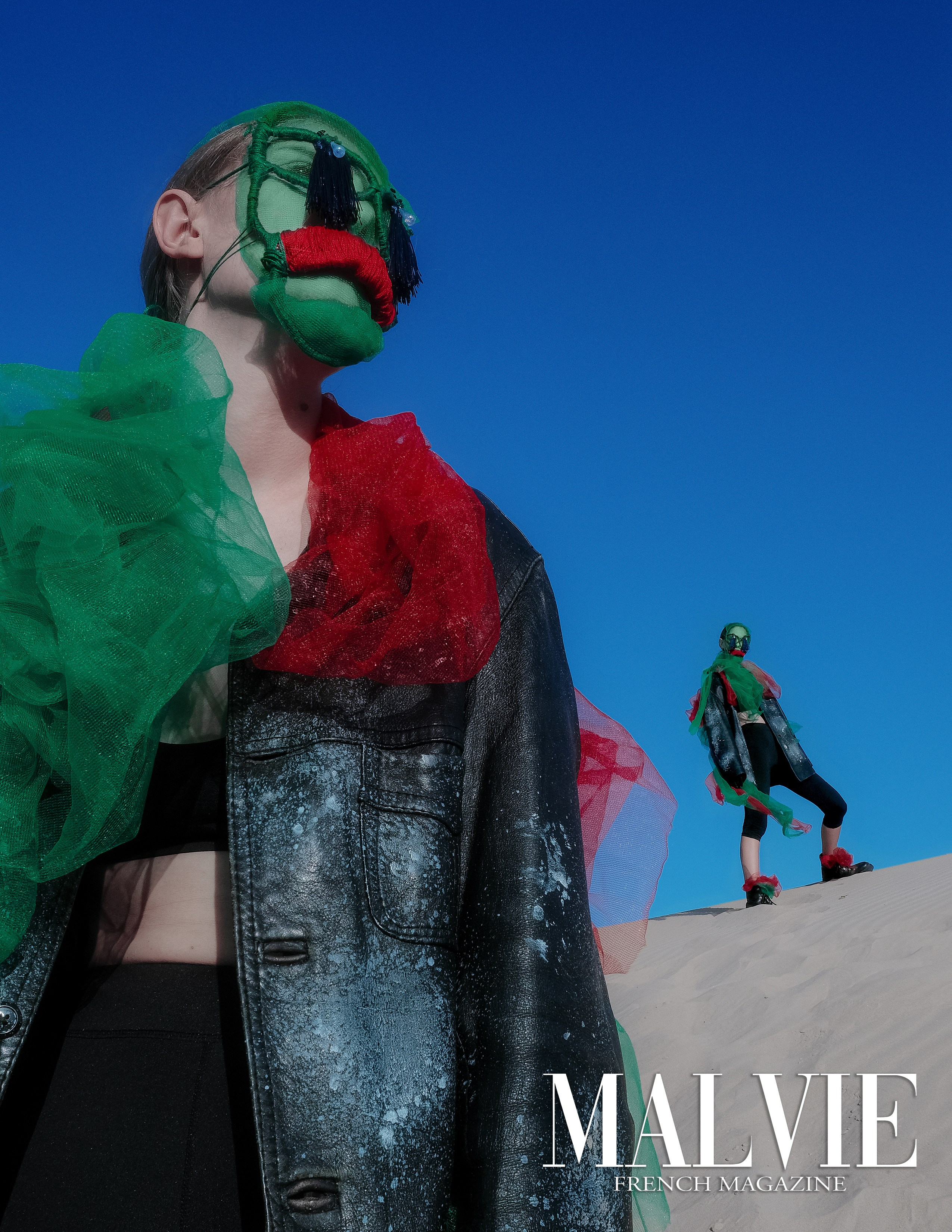 The best publications of the project The Messenger