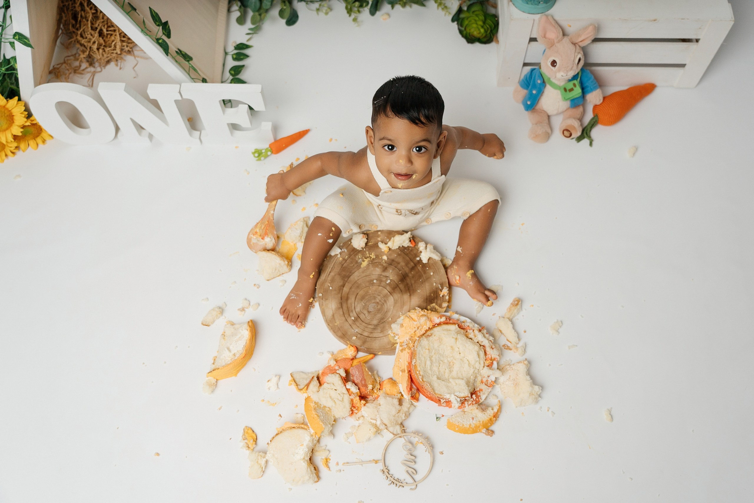 Peter rabbit cake smash session. Newborn and family photographer. Hills District. Sydney