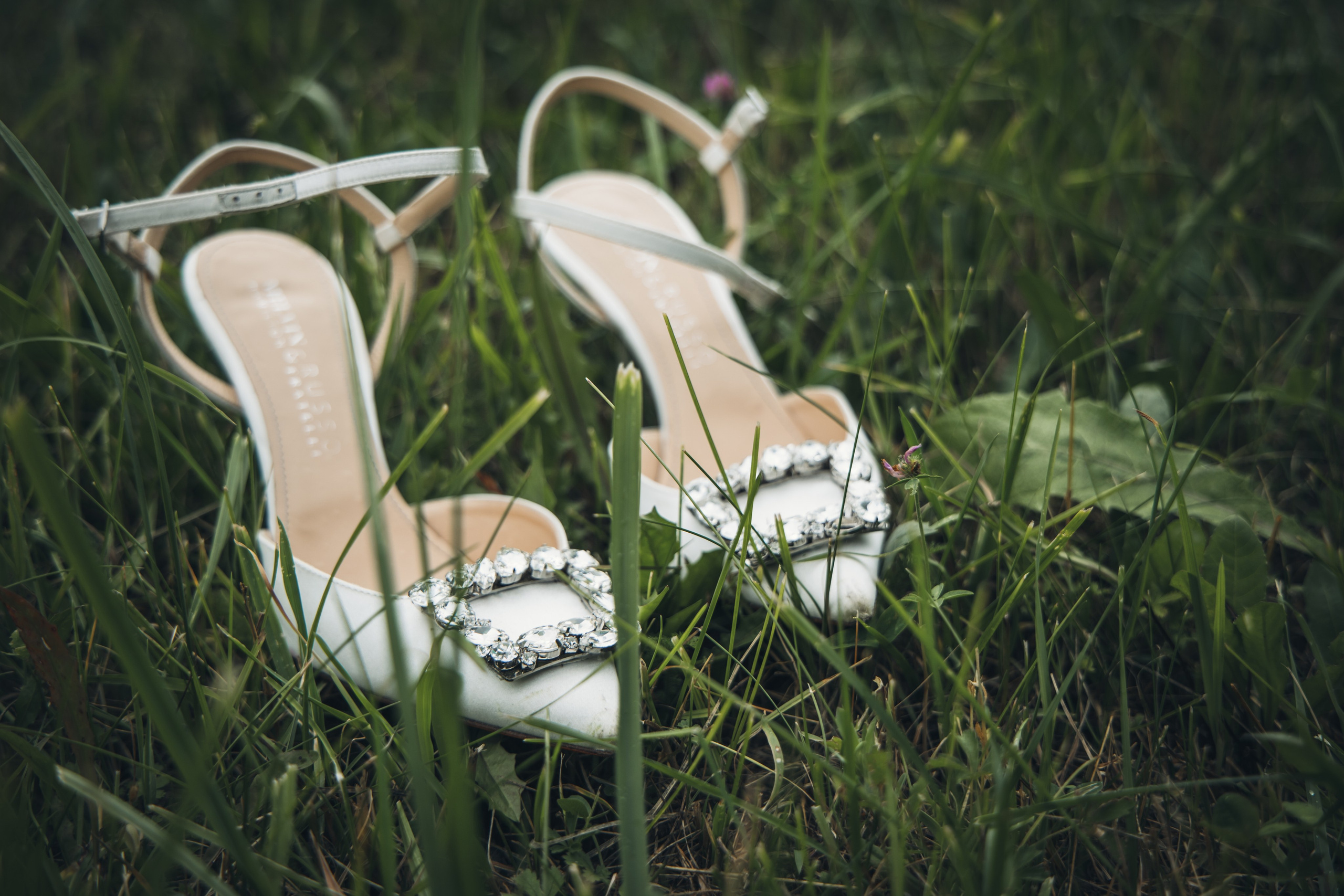 Wedding. Family photographer in Munich