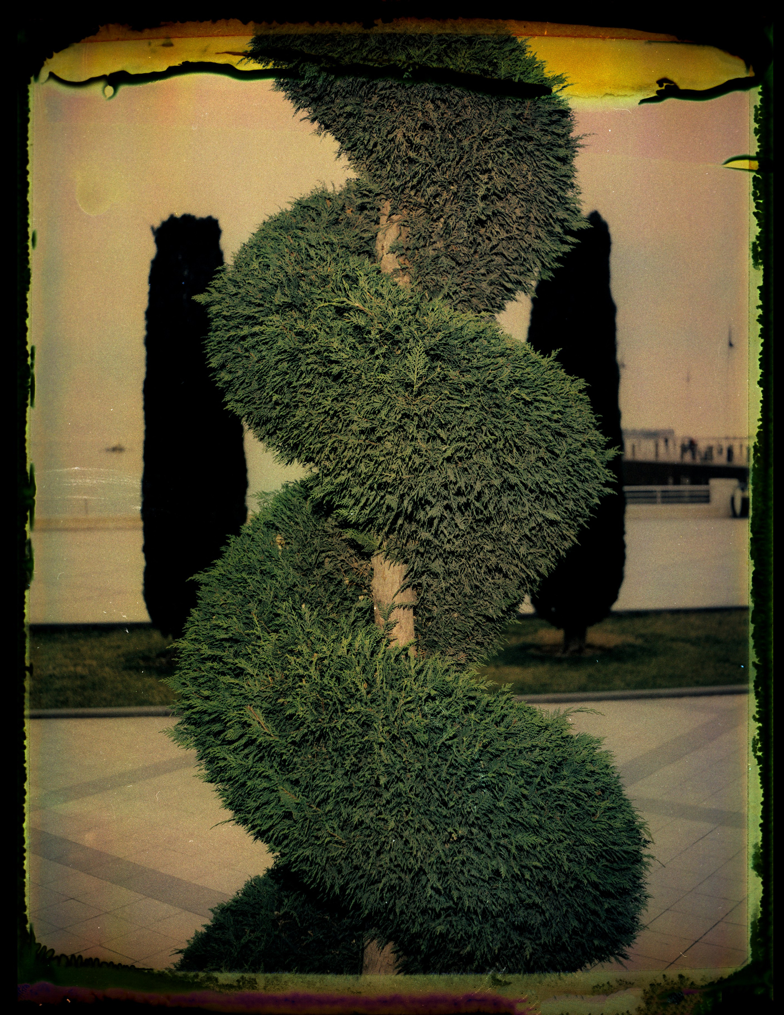 POLAROID. Www.sananaleskerov.com