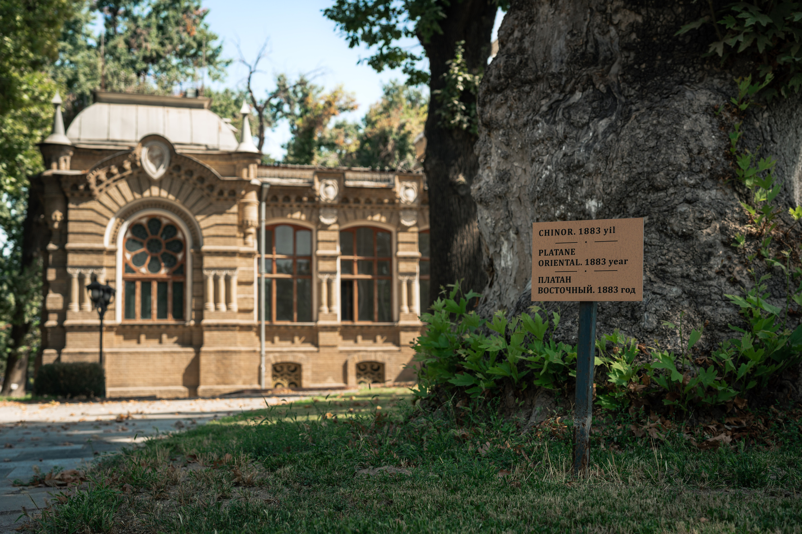 Дворец Романова: куда исчезла могила великого князя и все его богатств. Георгий Намазов | Фотограф в Ташкенте