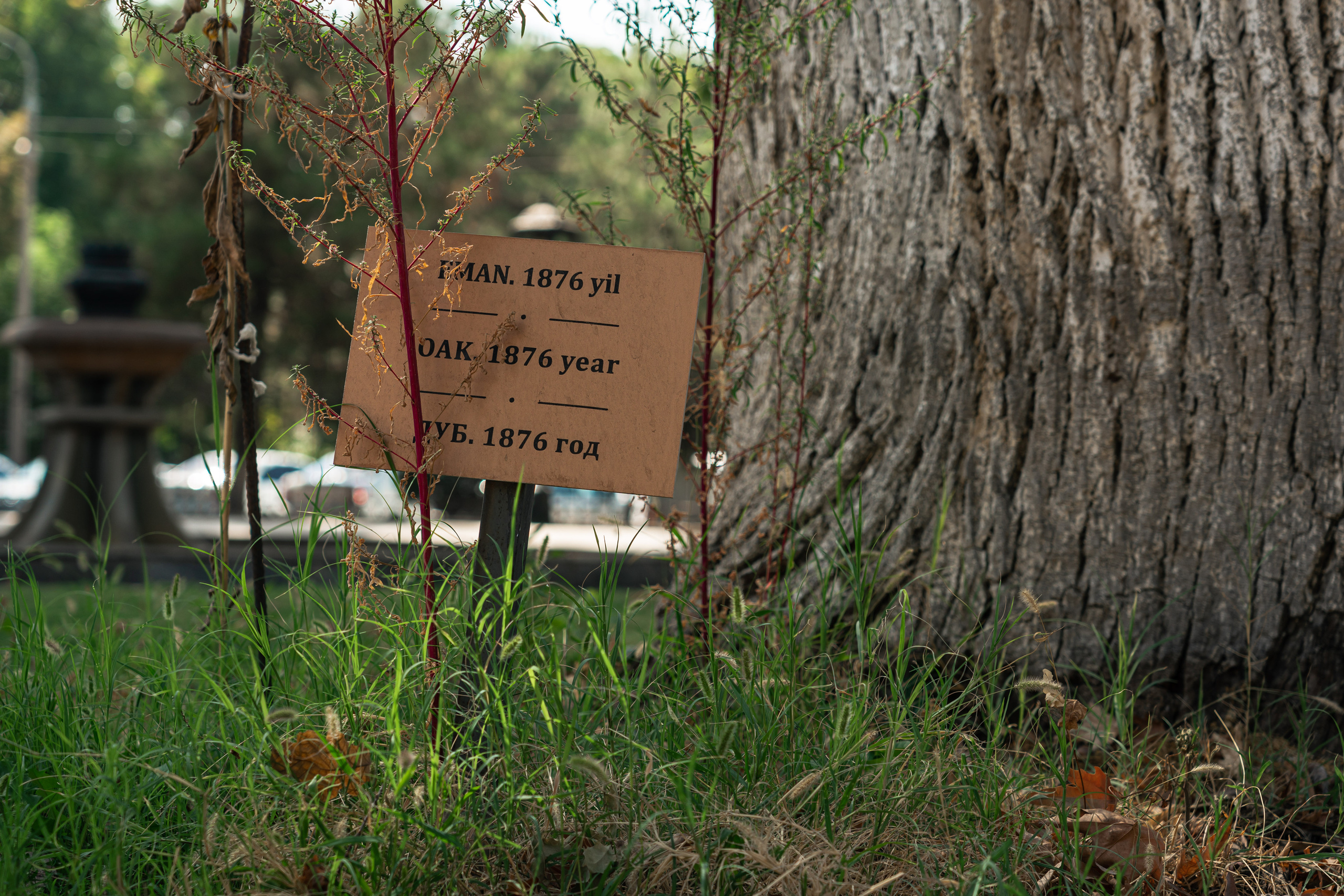 Дворец Романова: куда исчезла могила великого князя и все его богатств. Георгий Намазов | Фотограф в Ташкенте