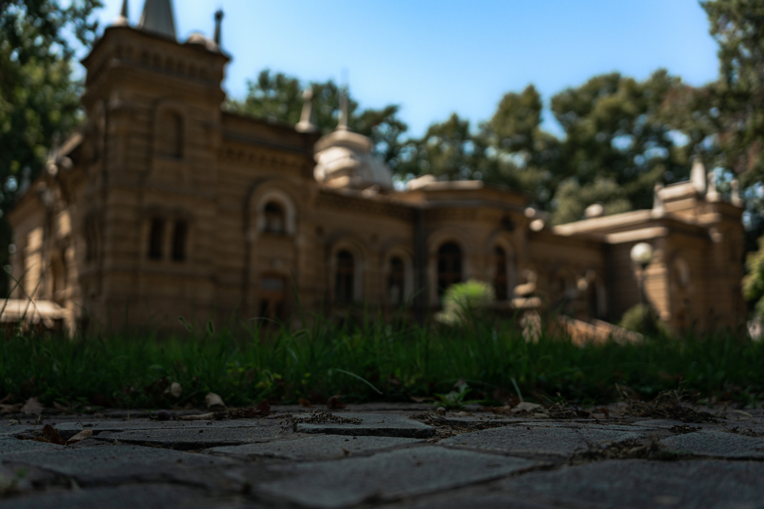 Дворец Романова: куда исчезла могила великого князя и все его богатств. Георгий Намазов | Фотограф в Ташкенте