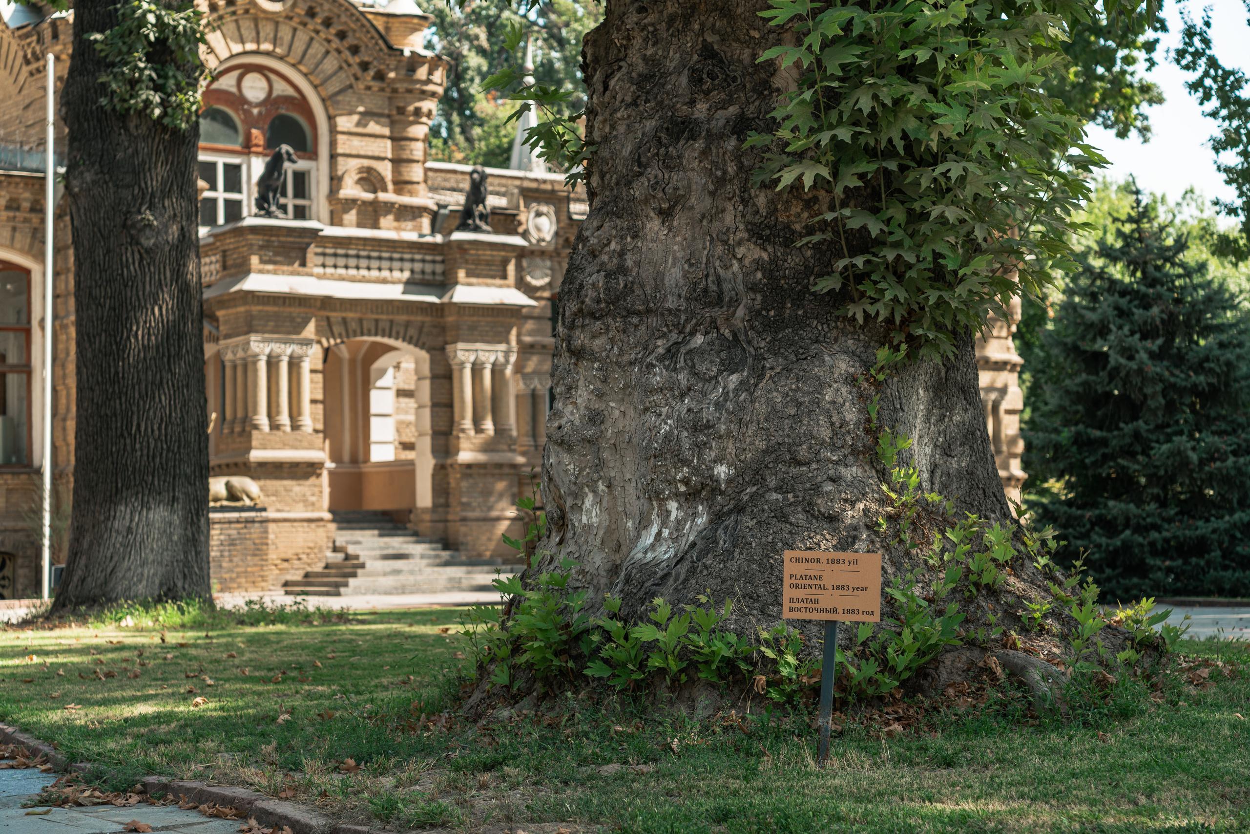 Дворец Романова: куда исчезла могила великого князя и все его богатств. Георгий Намазов | Фотограф в Ташкенте