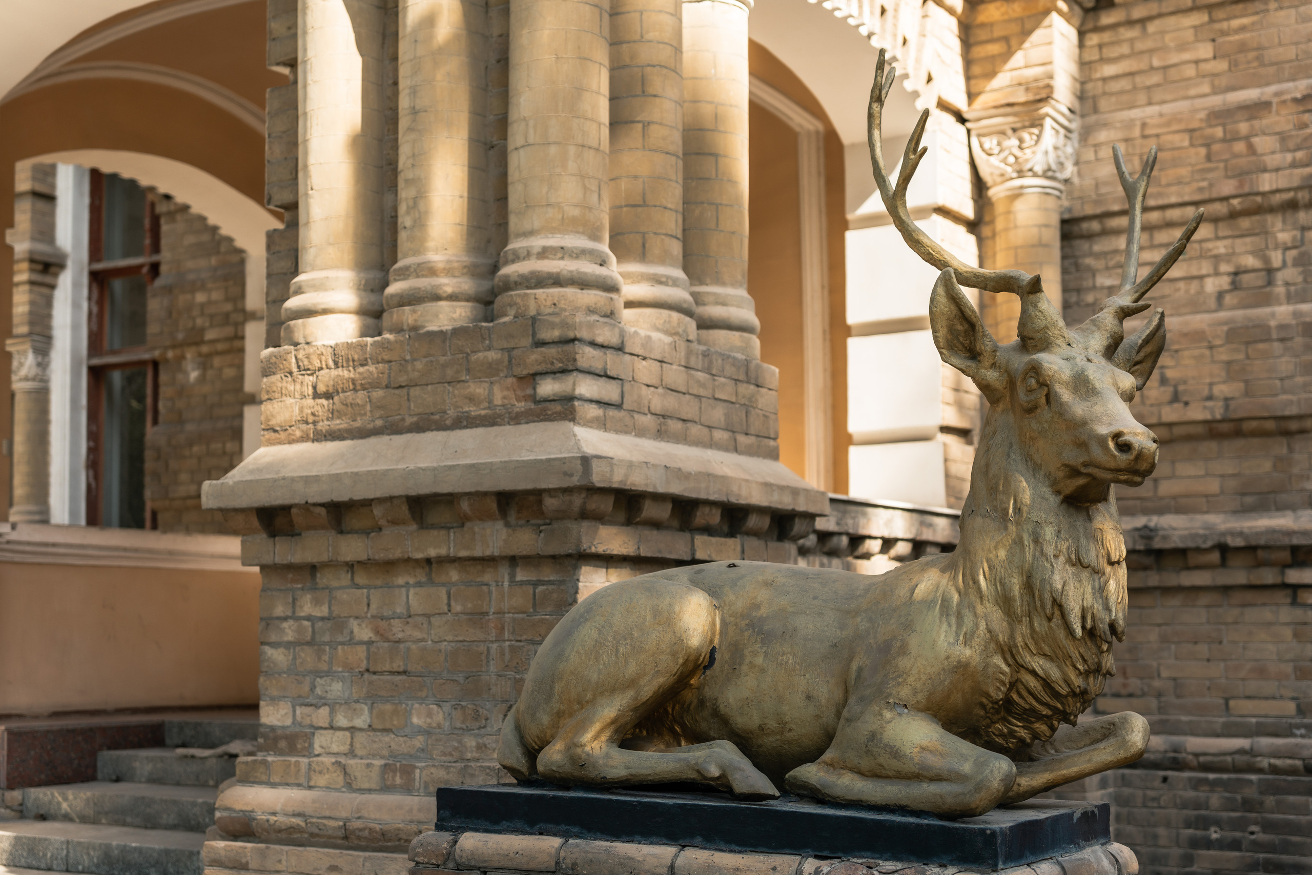 Дворец Романова: куда исчезла могила великого князя и все его богатств. Георгий Намазов | Фотограф в Ташкенте