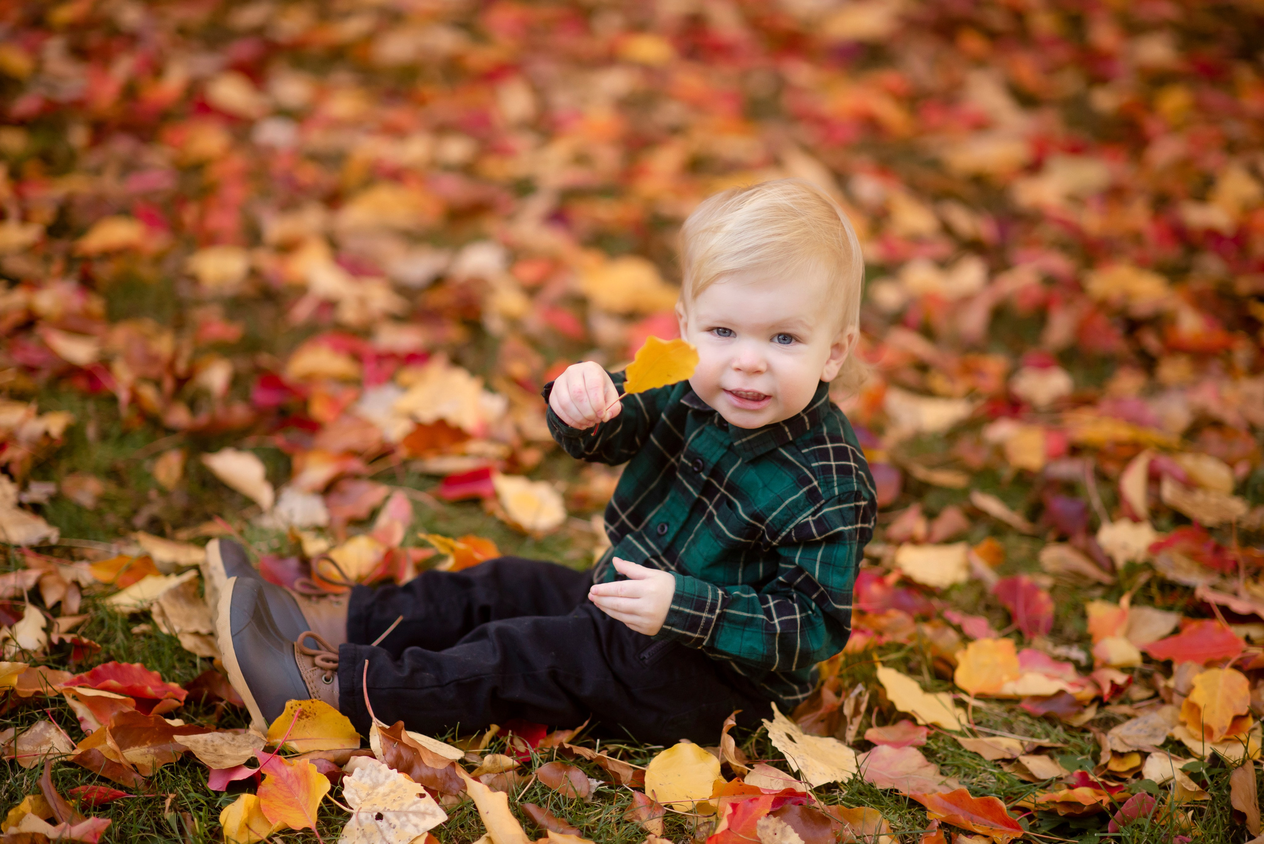 2026 Fall Family Photos In Rocklin Roseville Folsome Sacramento. Family photographer in Roseville, Rocklin, Folsom, Sacramento