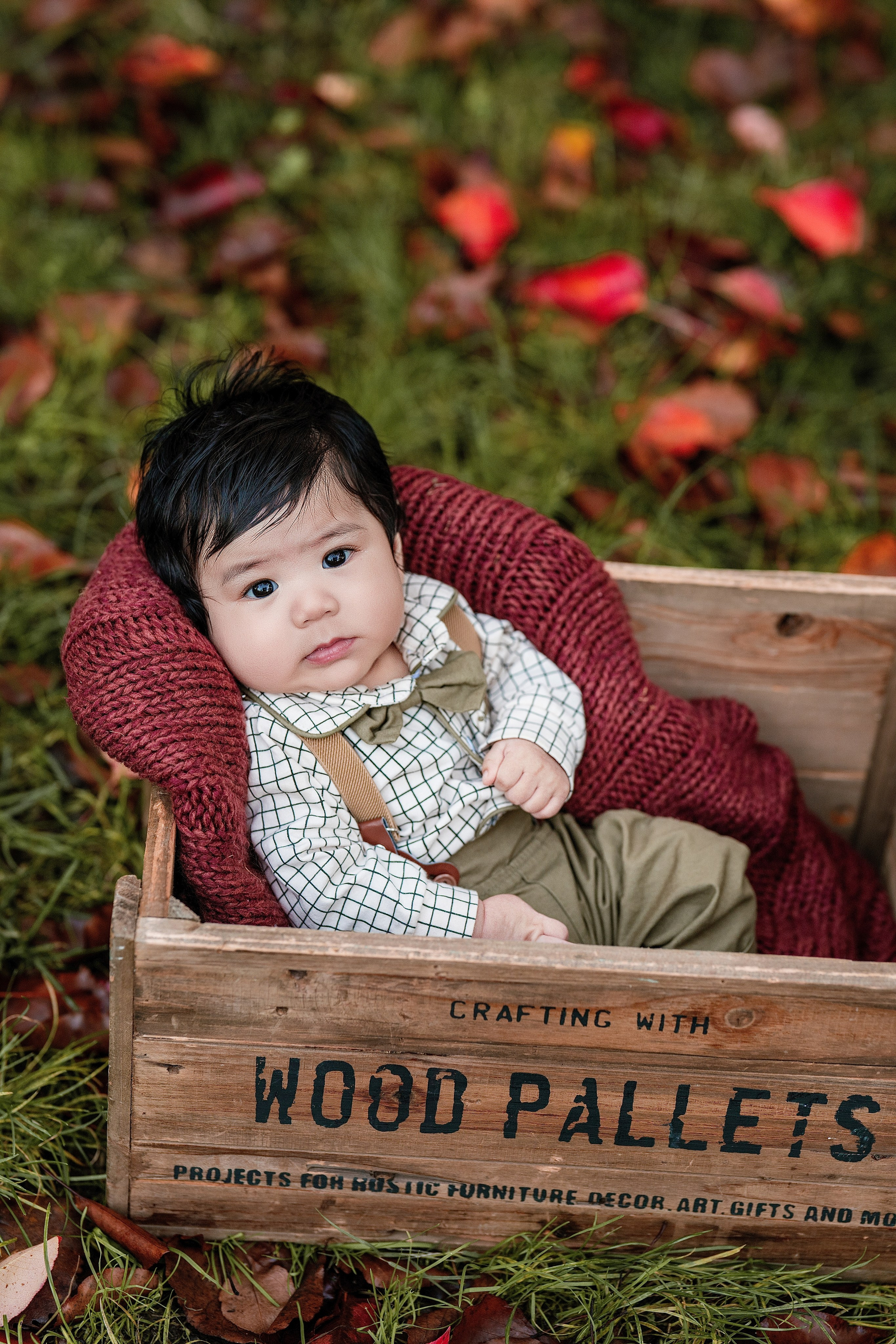 2026 Fall Family Photos In Rocklin Roseville Folsome Sacramento. Family photographer in Roseville, Rocklin, Folsom, Sacramento