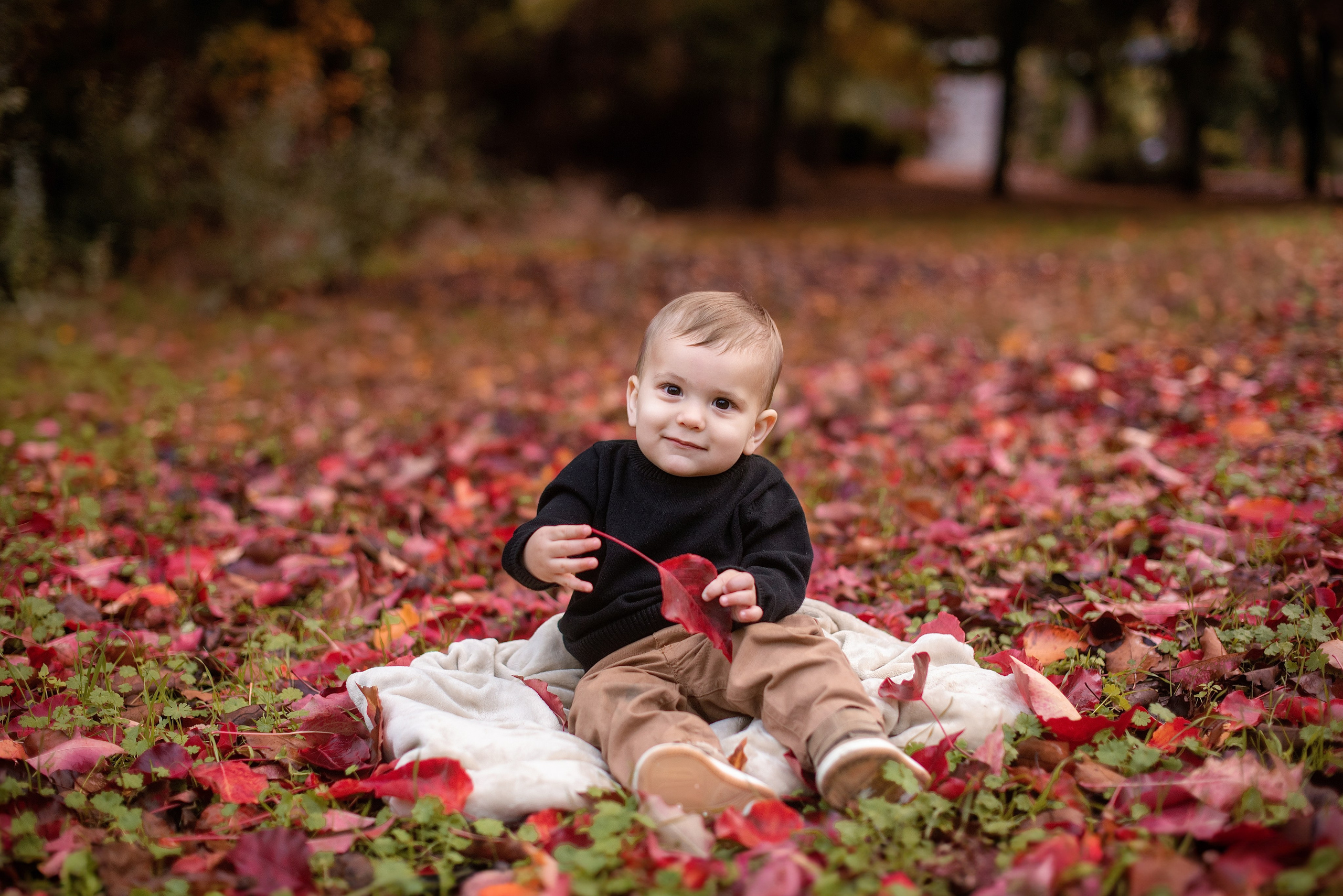 2026 Fall Family Photos In Rocklin Roseville Folsome Sacramento. Family photographer in Roseville, Rocklin, Folsom, Sacramento