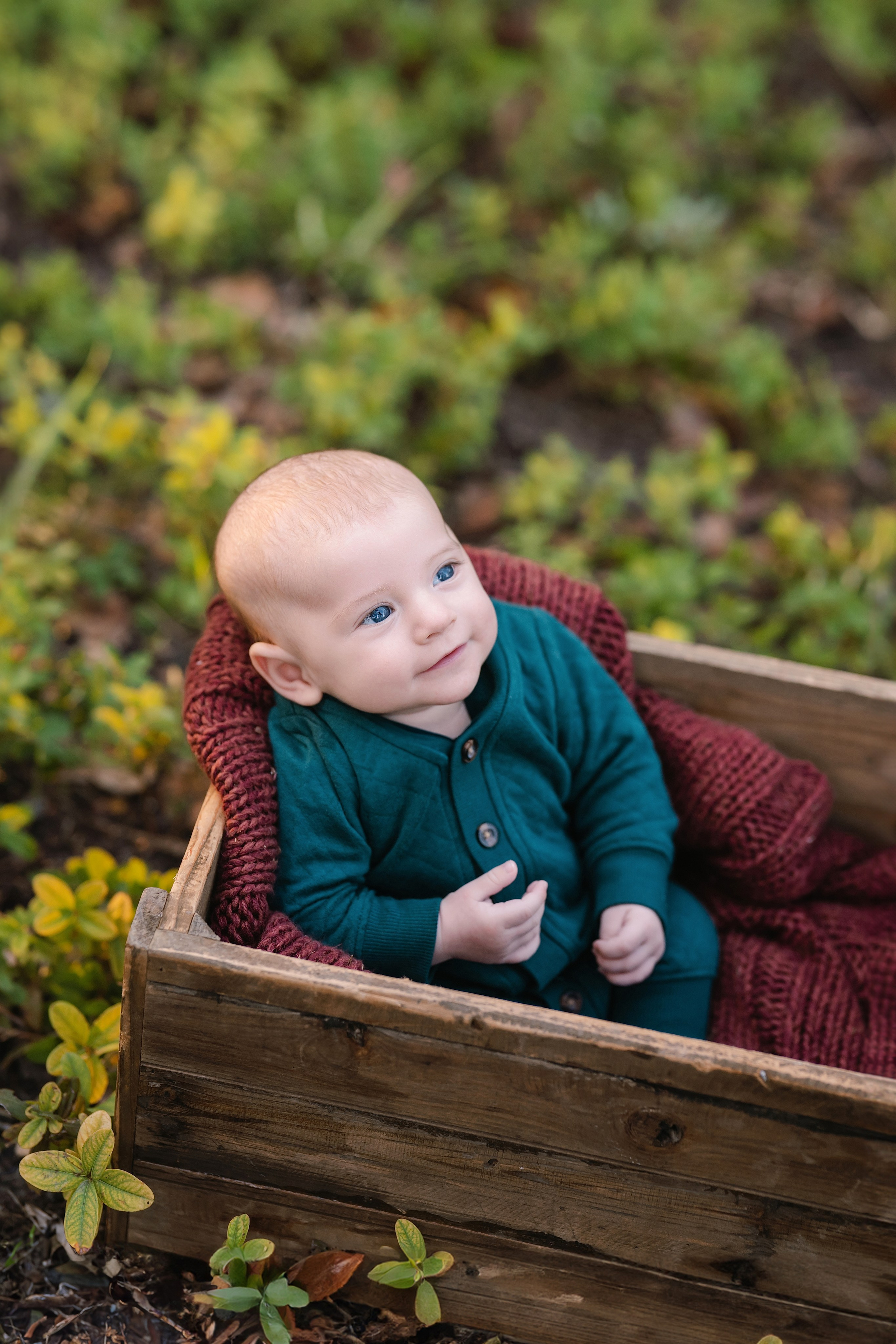 2026 Fall Family Photos In Rocklin Roseville Folsome Sacramento. Family photographer in Roseville, Rocklin, Folsom, Sacramento