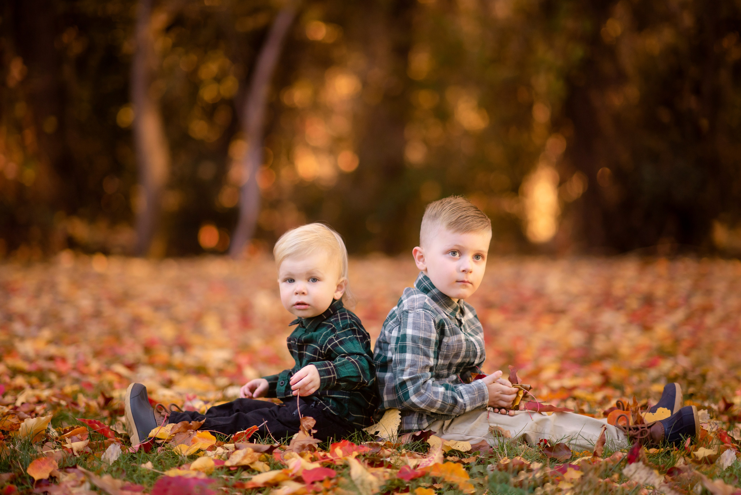 2026 Fall Family Photos In Rocklin Roseville Folsome Sacramento. Family photographer in Roseville, Rocklin, Folsom, Sacramento