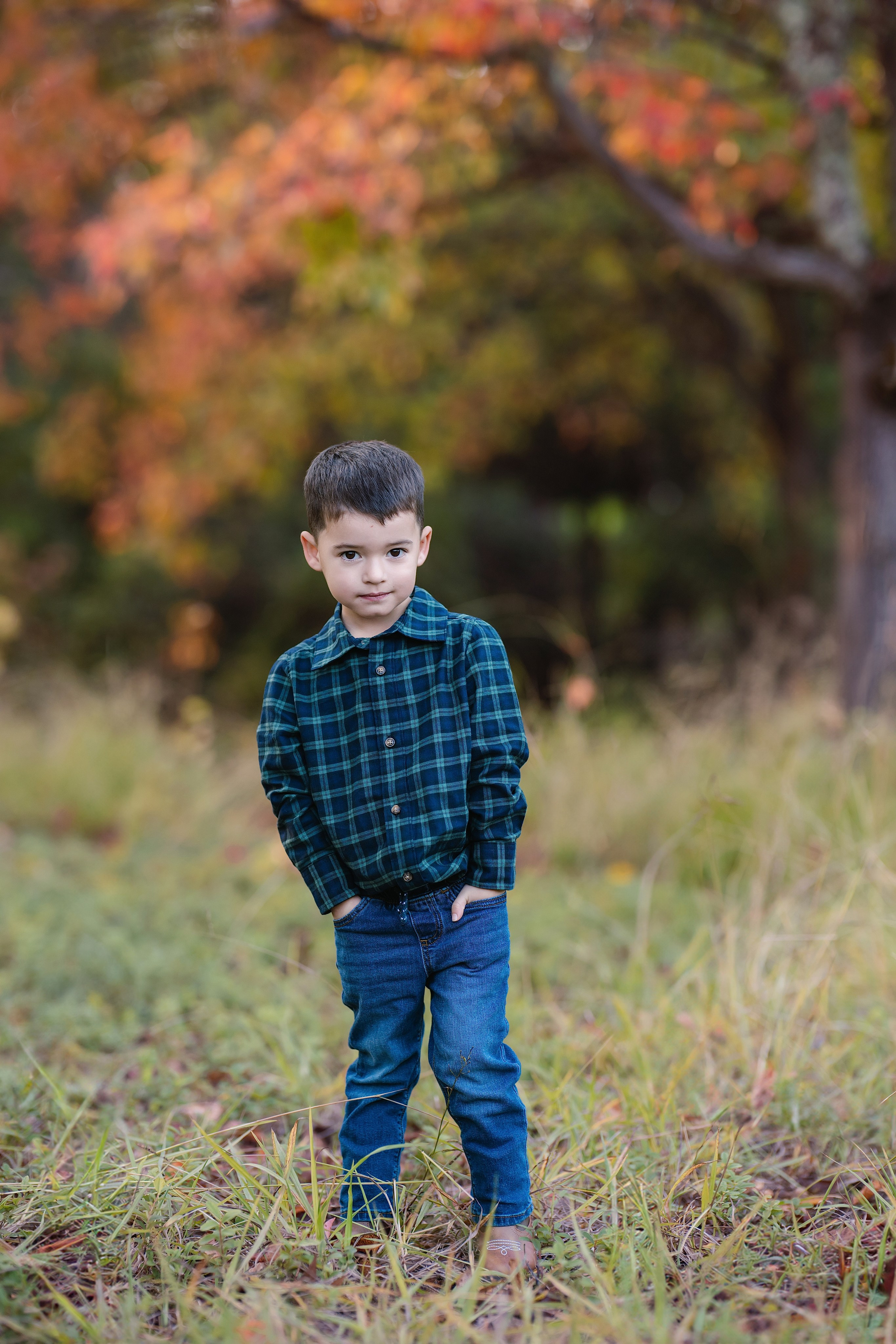 2026 Fall Family Photos In Rocklin Roseville Folsome Sacramento. Family photographer in Roseville, Rocklin, Folsom, Sacramento