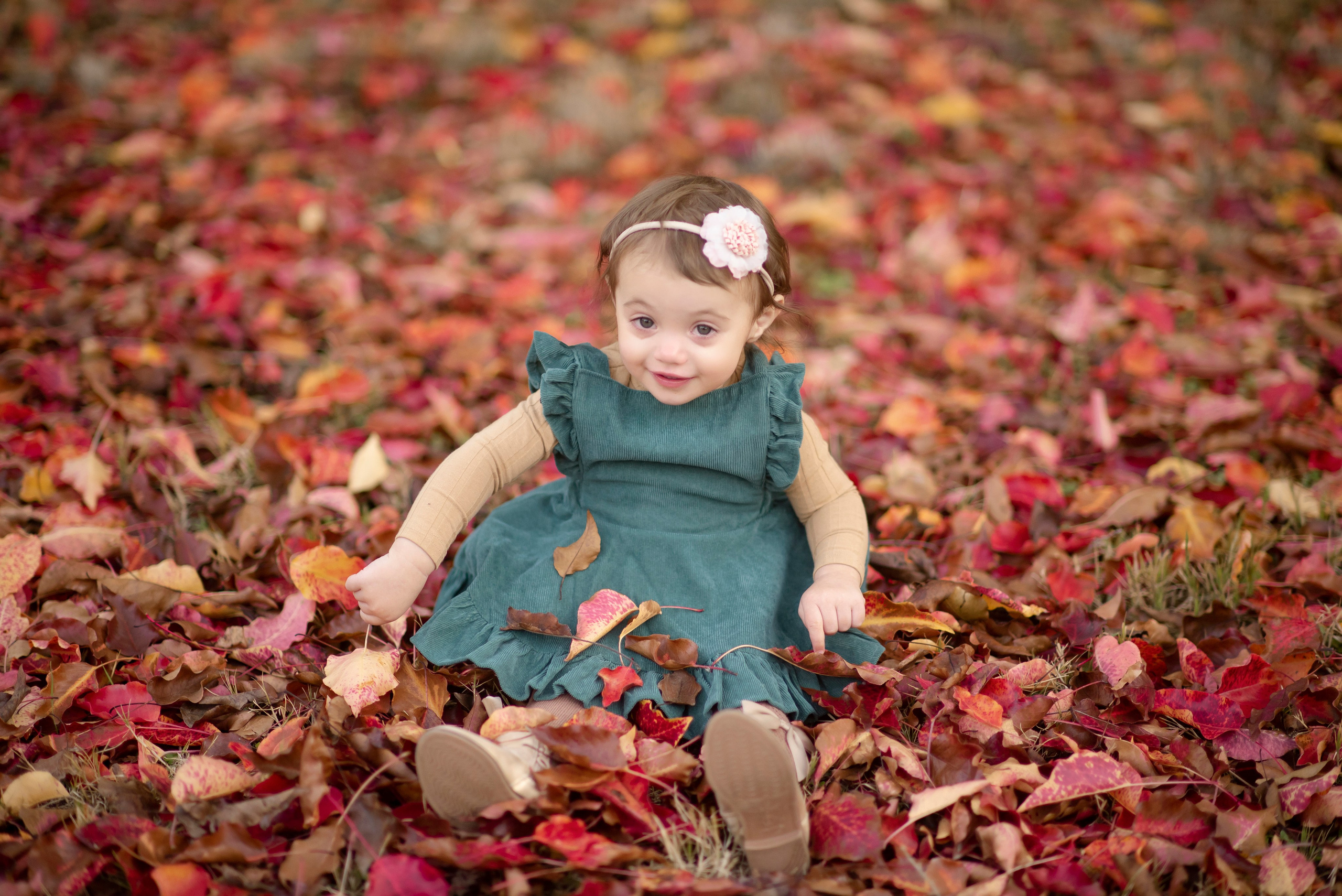 2026 Fall Family Photos In Rocklin Roseville Folsome Sacramento. Family photographer in Roseville, Rocklin, Folsom, Sacramento