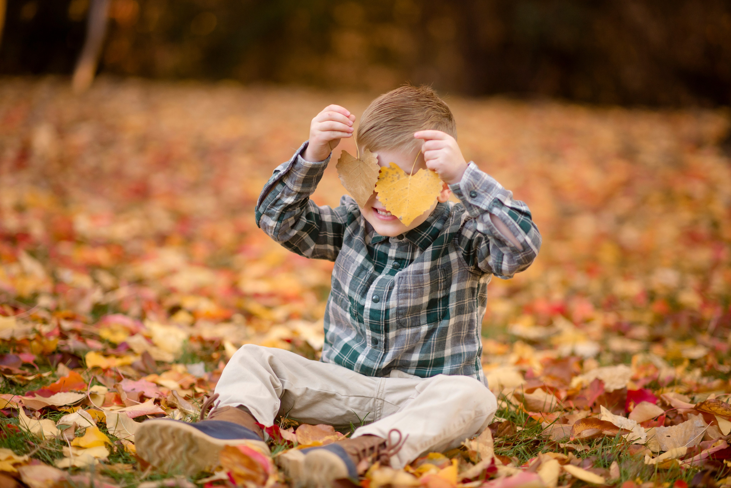 2026 Fall Family Photos In Rocklin Roseville Folsome Sacramento. Family photographer in Roseville, Rocklin, Folsom, Sacramento
