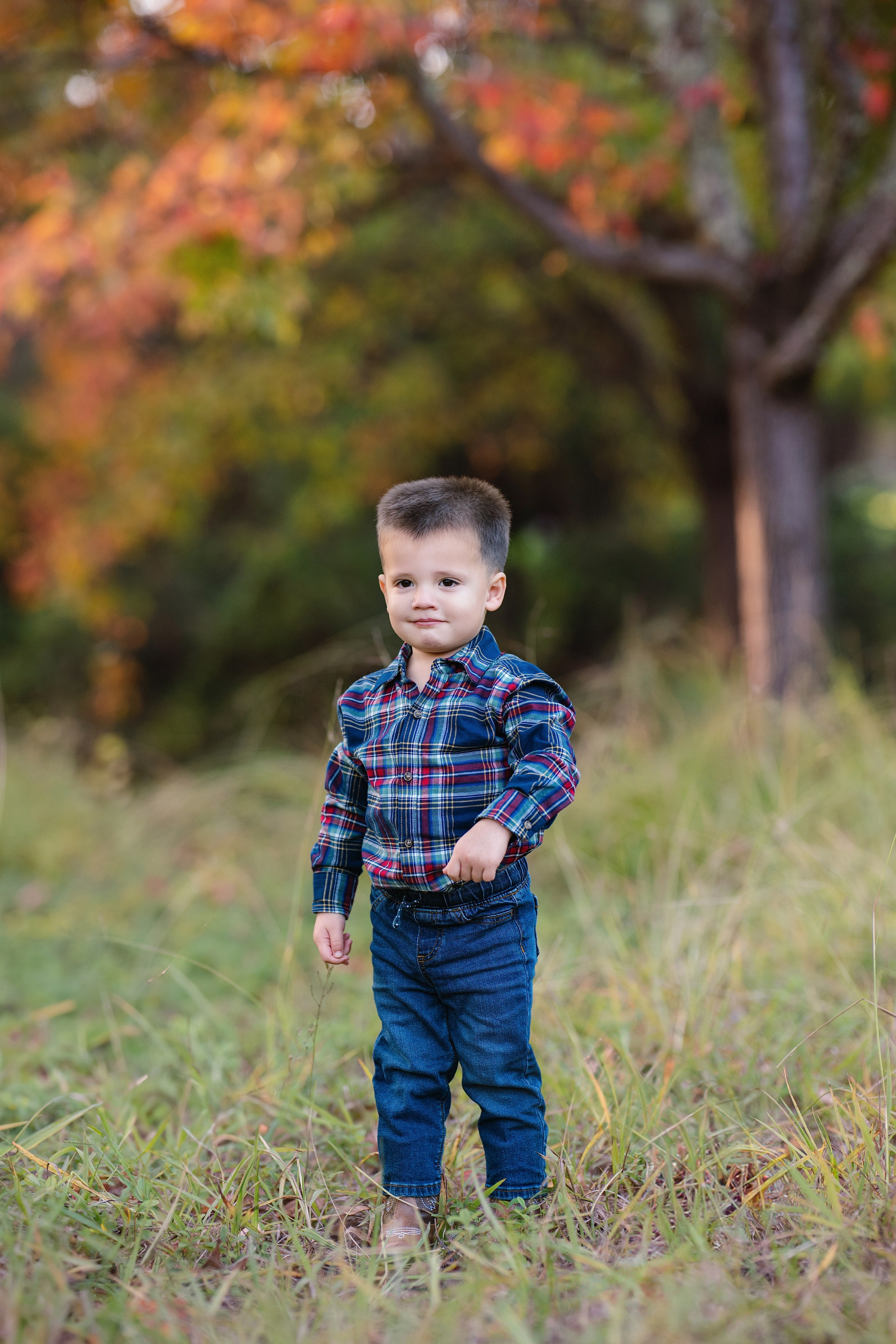 2026 Fall Family Photos In Rocklin Roseville Folsome Sacramento. Family photographer in Roseville, Rocklin, Folsom, Sacramento