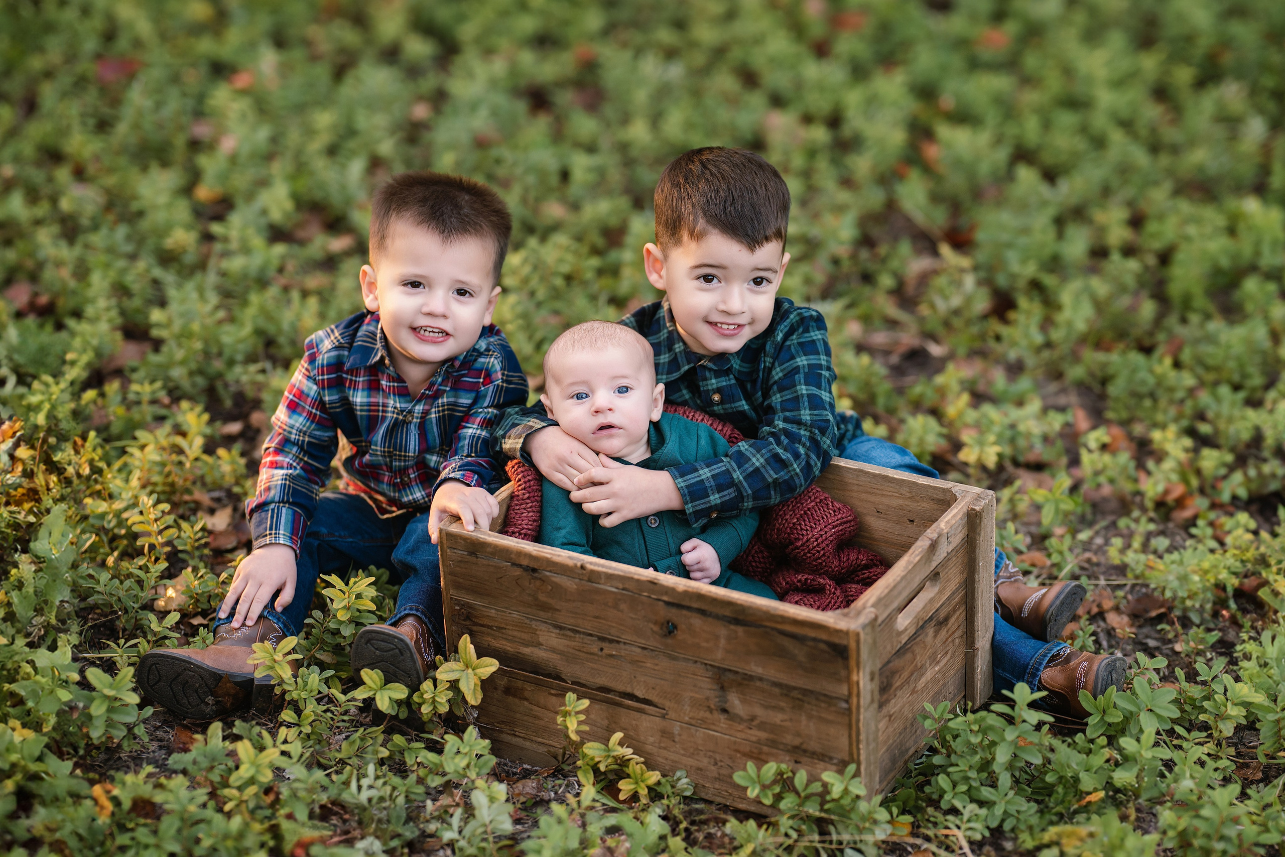 2026 Fall Family Photos In Rocklin Roseville Folsome Sacramento. Family photographer in Roseville, Rocklin, Folsom, Sacramento