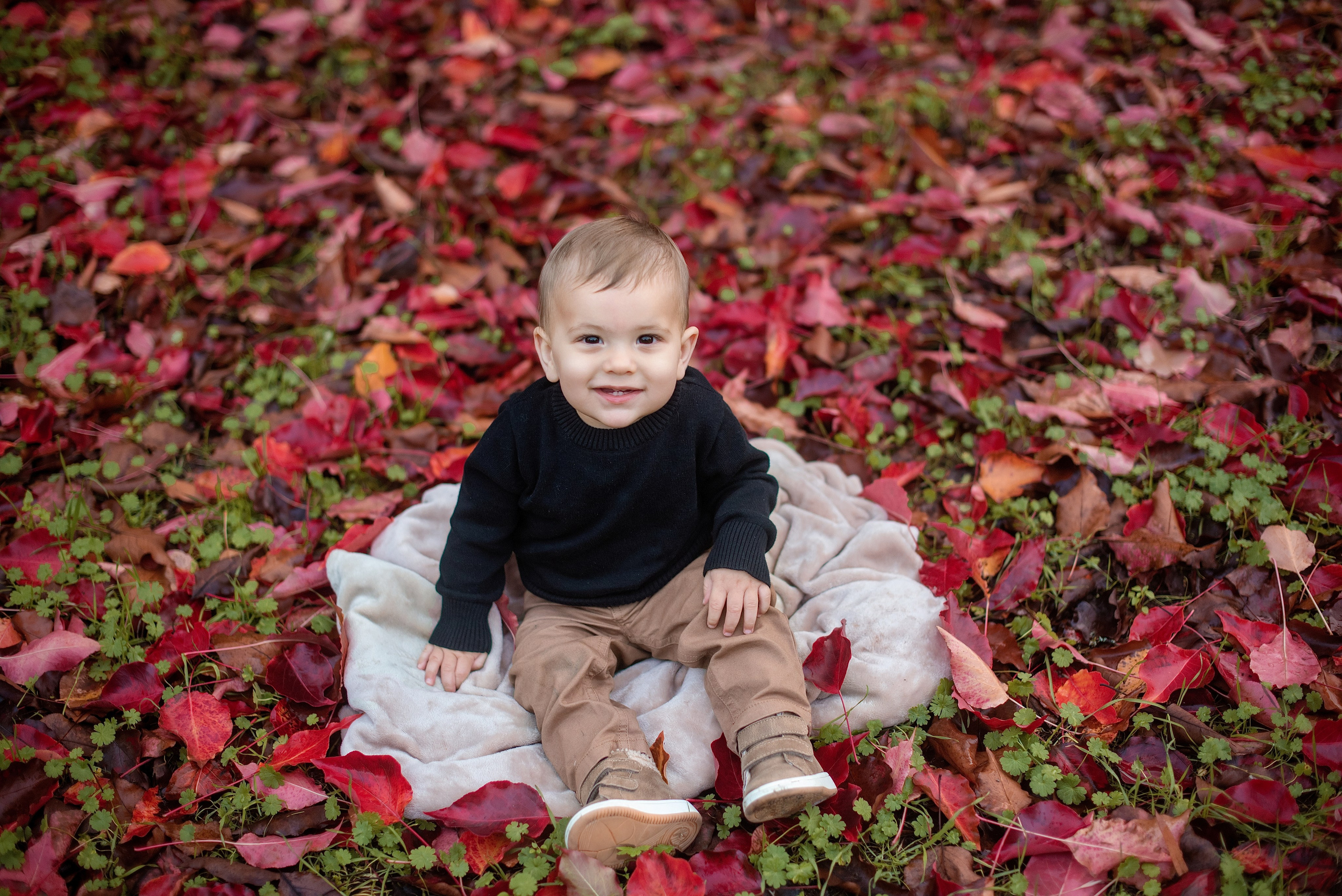 2026 Fall Family Photos In Rocklin Roseville Folsome Sacramento. Family photographer in Roseville, Rocklin, Folsom, Sacramento