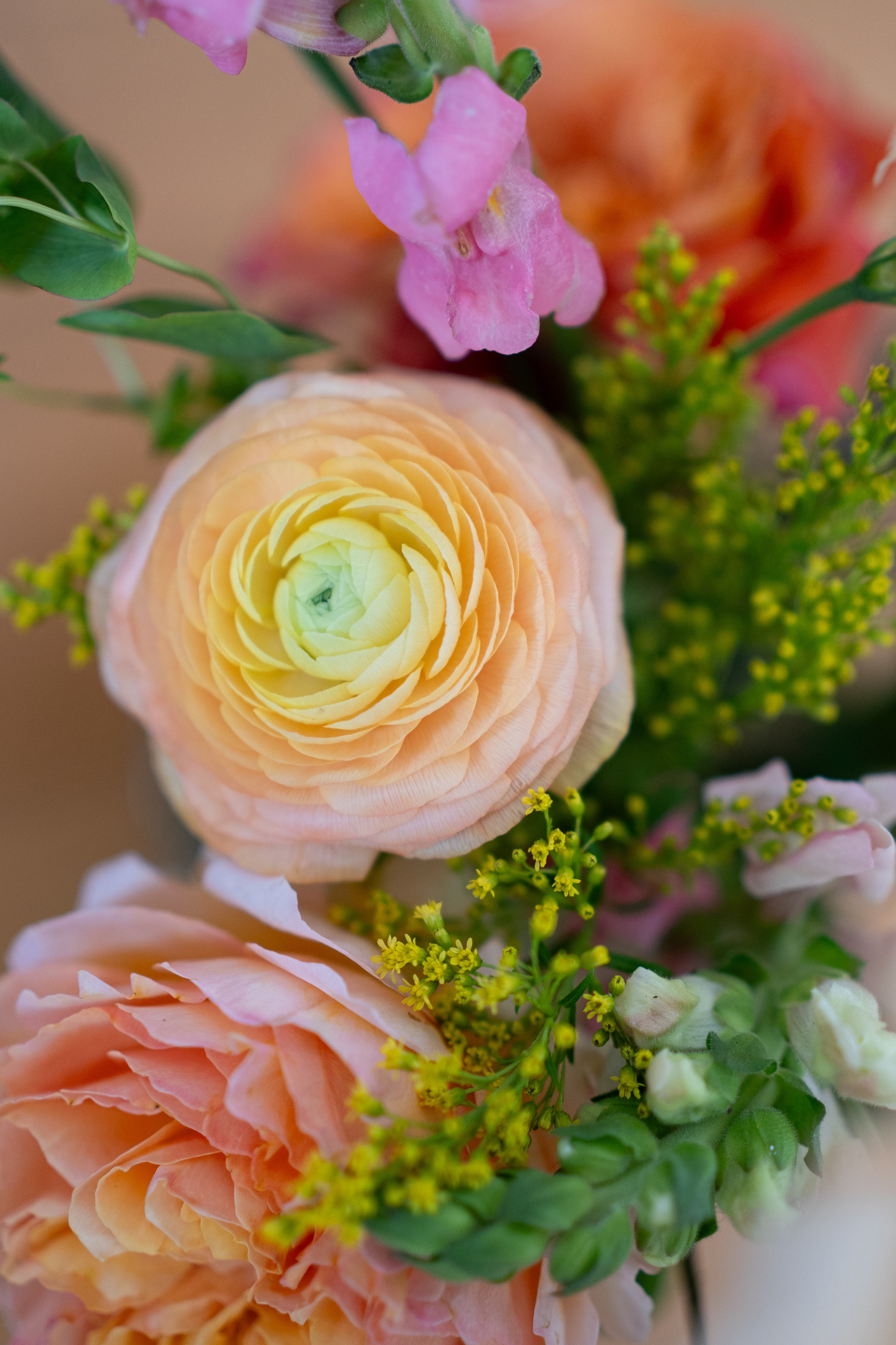 Flowers. Photographer in Madrid, Spain. Alyona Belyaninova