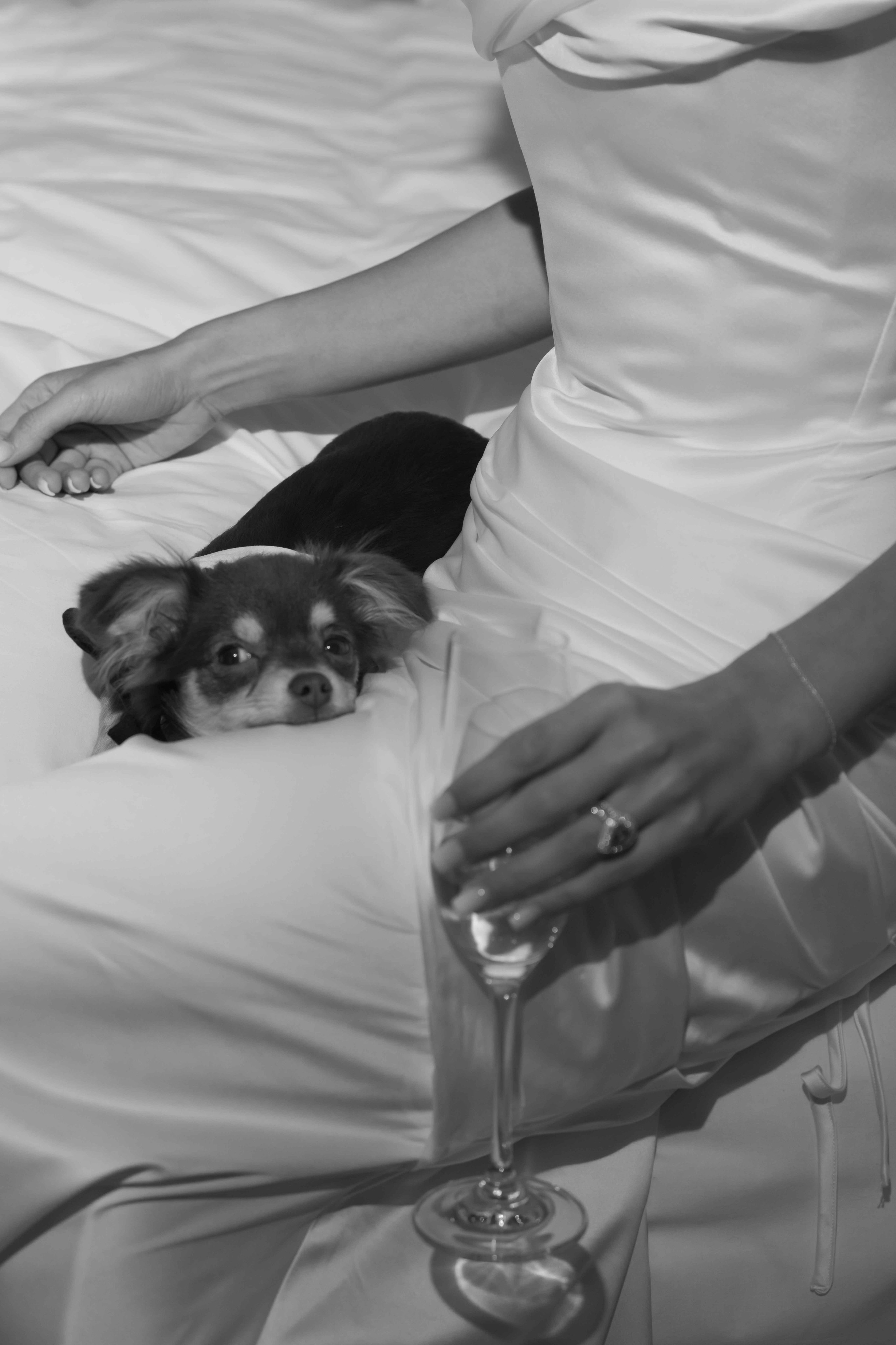 Intimate Wedding at Marylebone Town Hall, London | Small Wedding Story. London Wedding Photographer | Engagement & Proposal Photography by Natasha Ferreira