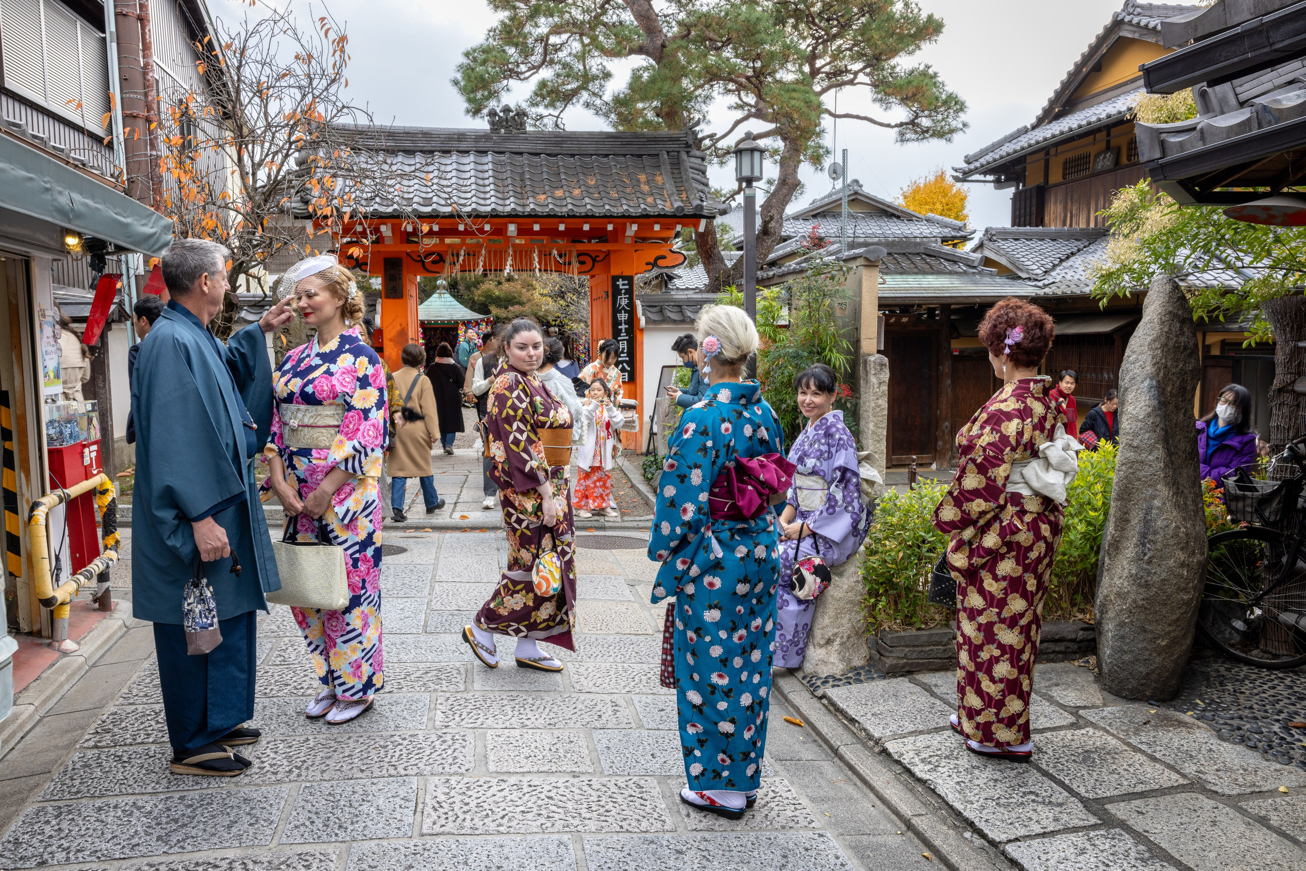 Autumn Colors of Japan. Pet, Senior, Landscape, portrait studio, photographer in Miami and Sou