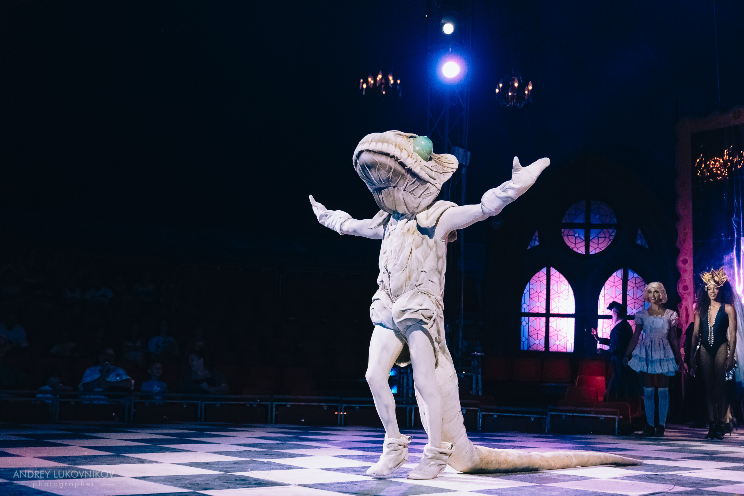 Репортаж с выступления цирка El Circo Encantado в Торревьехе — Фотограф в Аликанте и Торревьехе