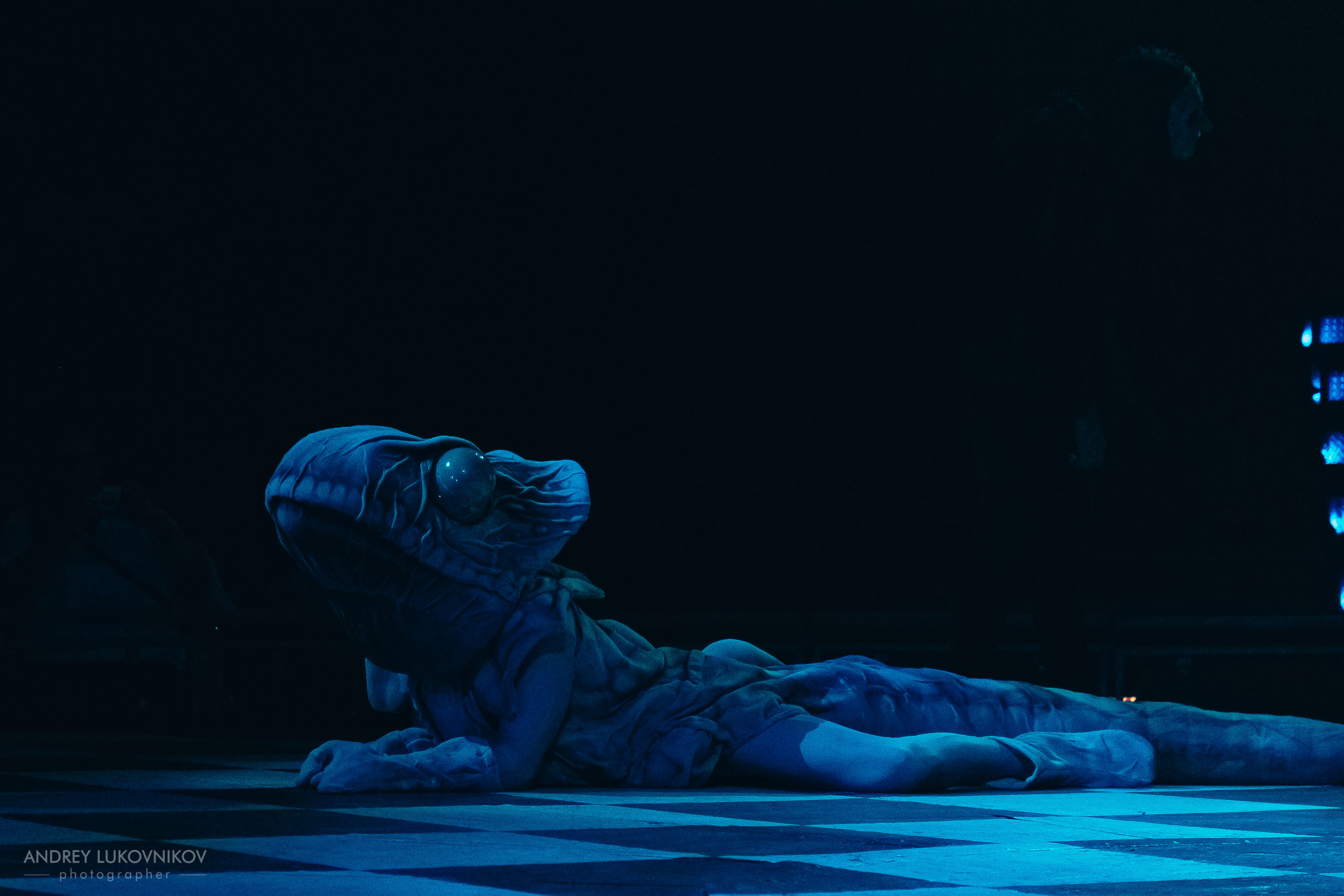 Репортаж с выступления цирка El Circo Encantado в Торревьехе — Фотограф в Аликанте и Торревьехе