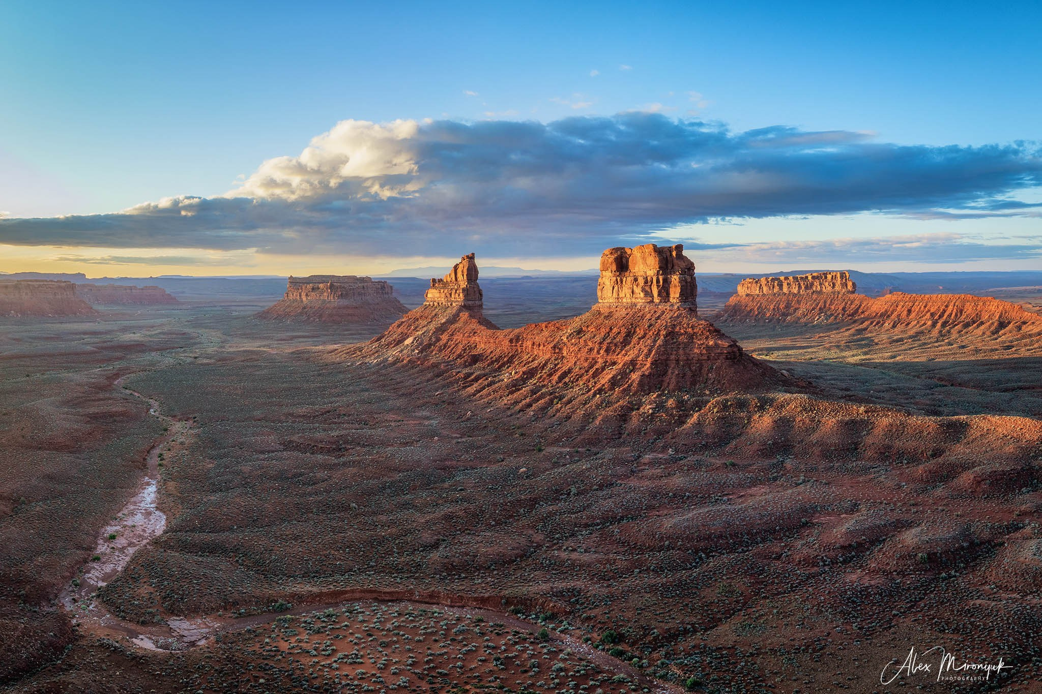 Eagle’s View American Southwest. Pet, Senior, Landscape, portrait studio, photographer in Miami and Sou