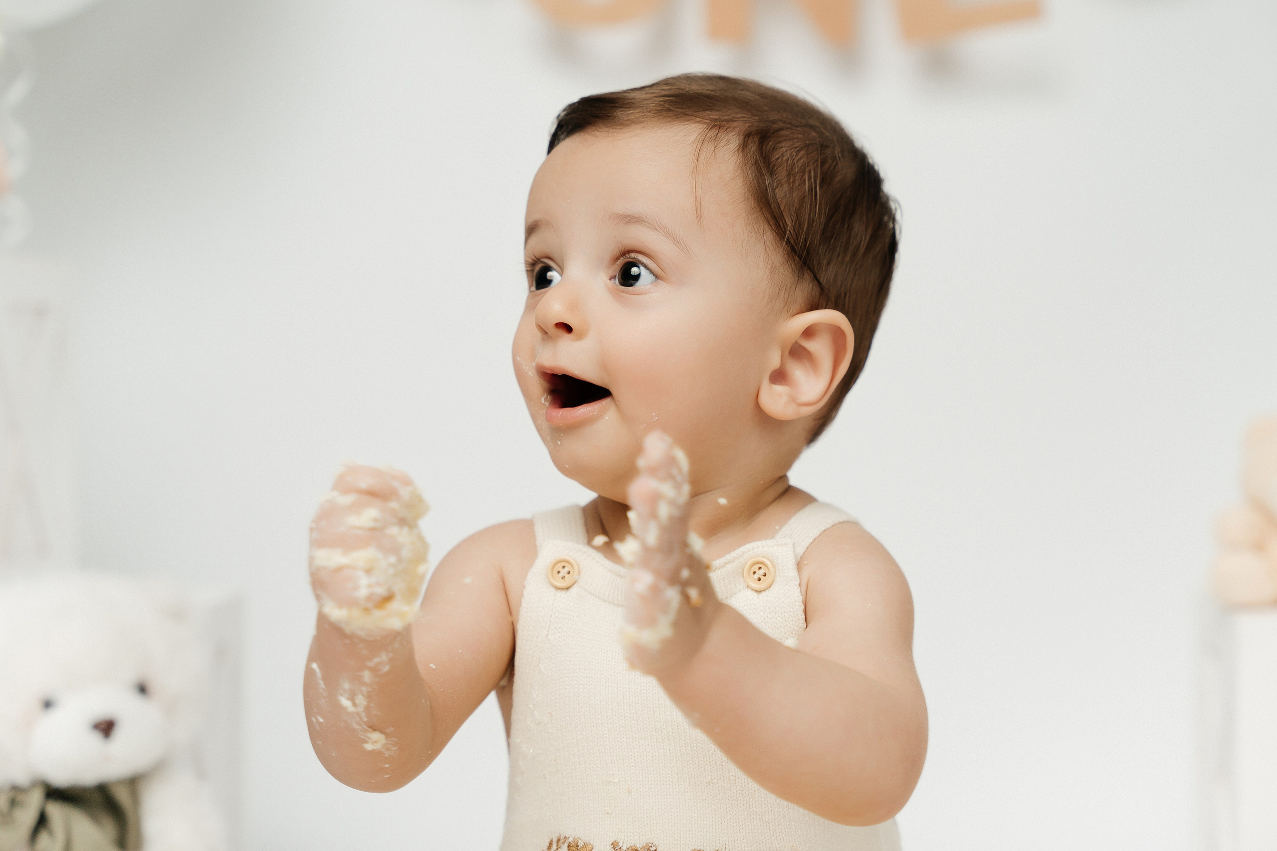 Teddy Bear One Year Cake Smash Photos. Newborn and family photographer. Hills District. Sydney