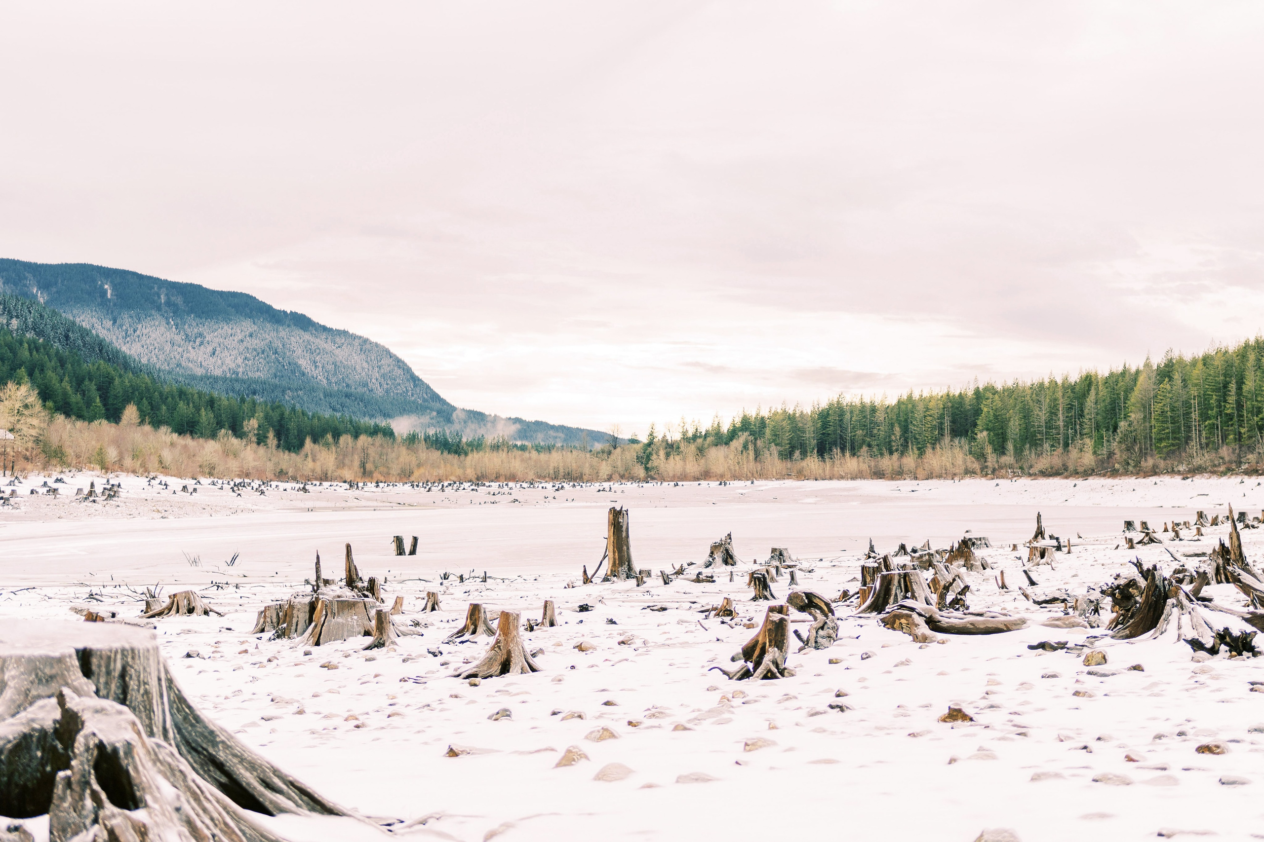 Irina & Bogdan / January 2024. Rattlesnake Lake, WA. EVAN ARISTOV WEDDING PHOTOGRAPHY — Seattle Wedding Photographer