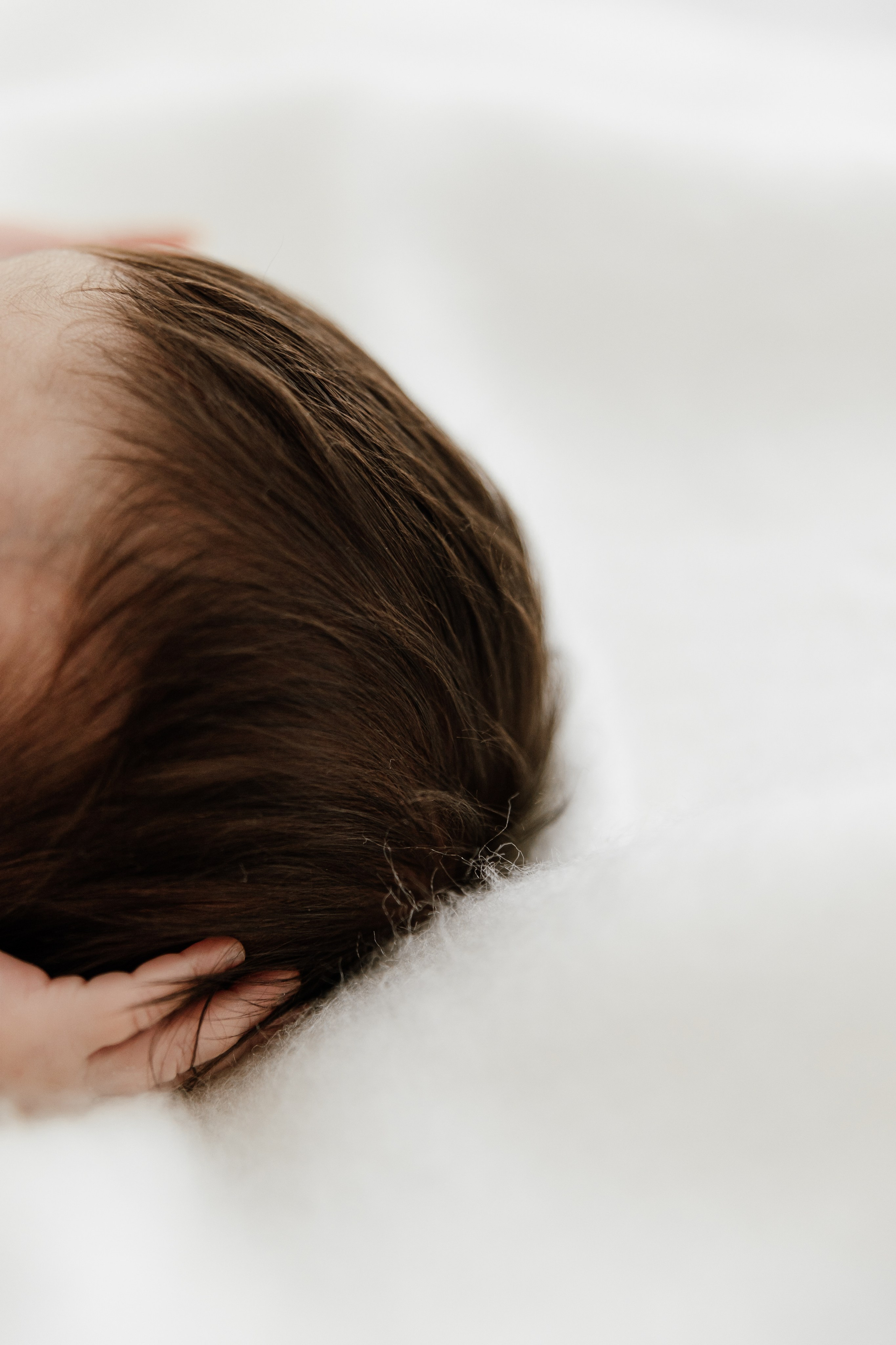 Newborn. Fotografka Andrea Hlaváčová / Karlovarský kraj / Karlovy Vary Sokolov