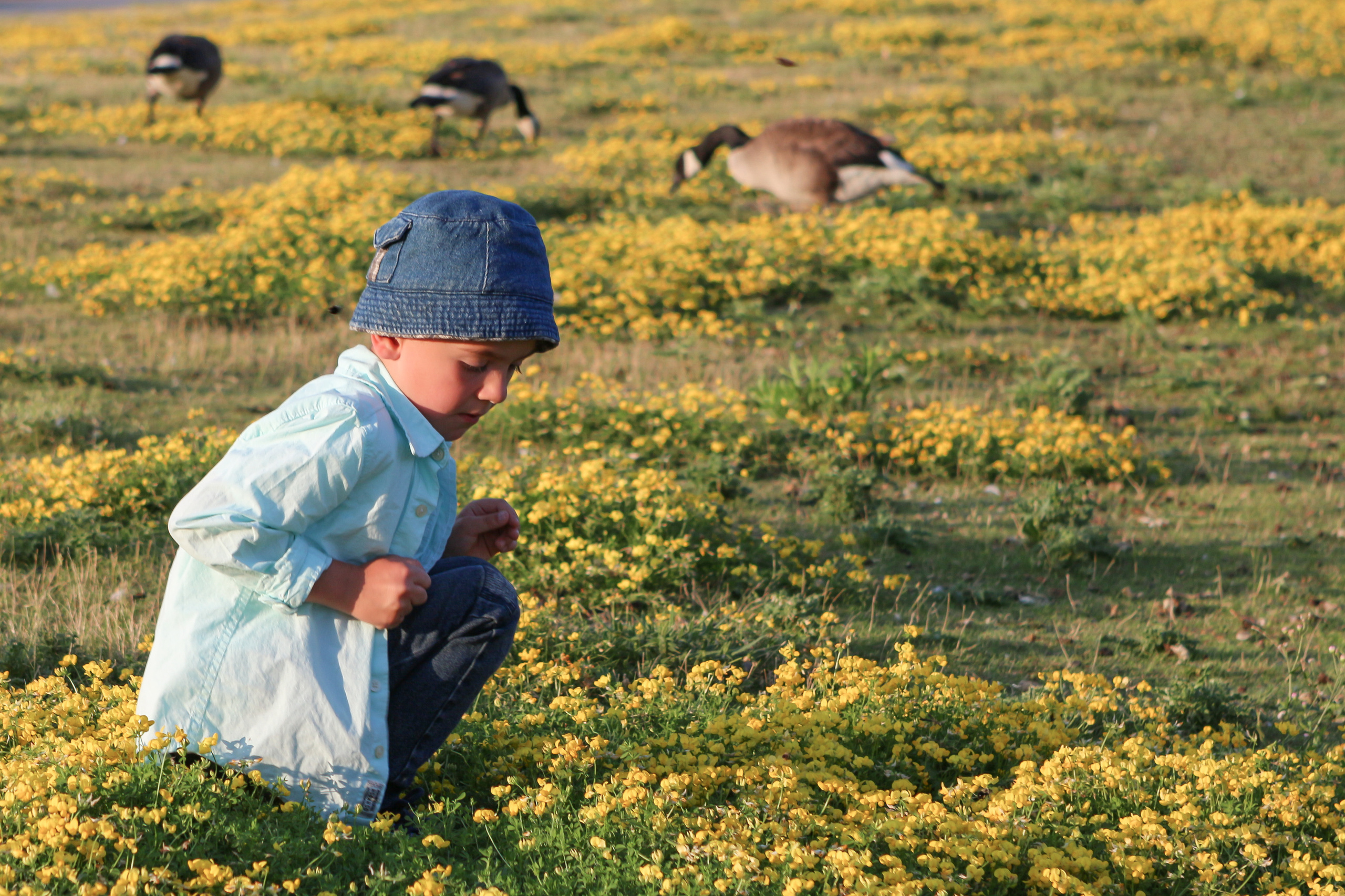 Portraits. Wedding, family, portrait and brands photography in Kingston, ON