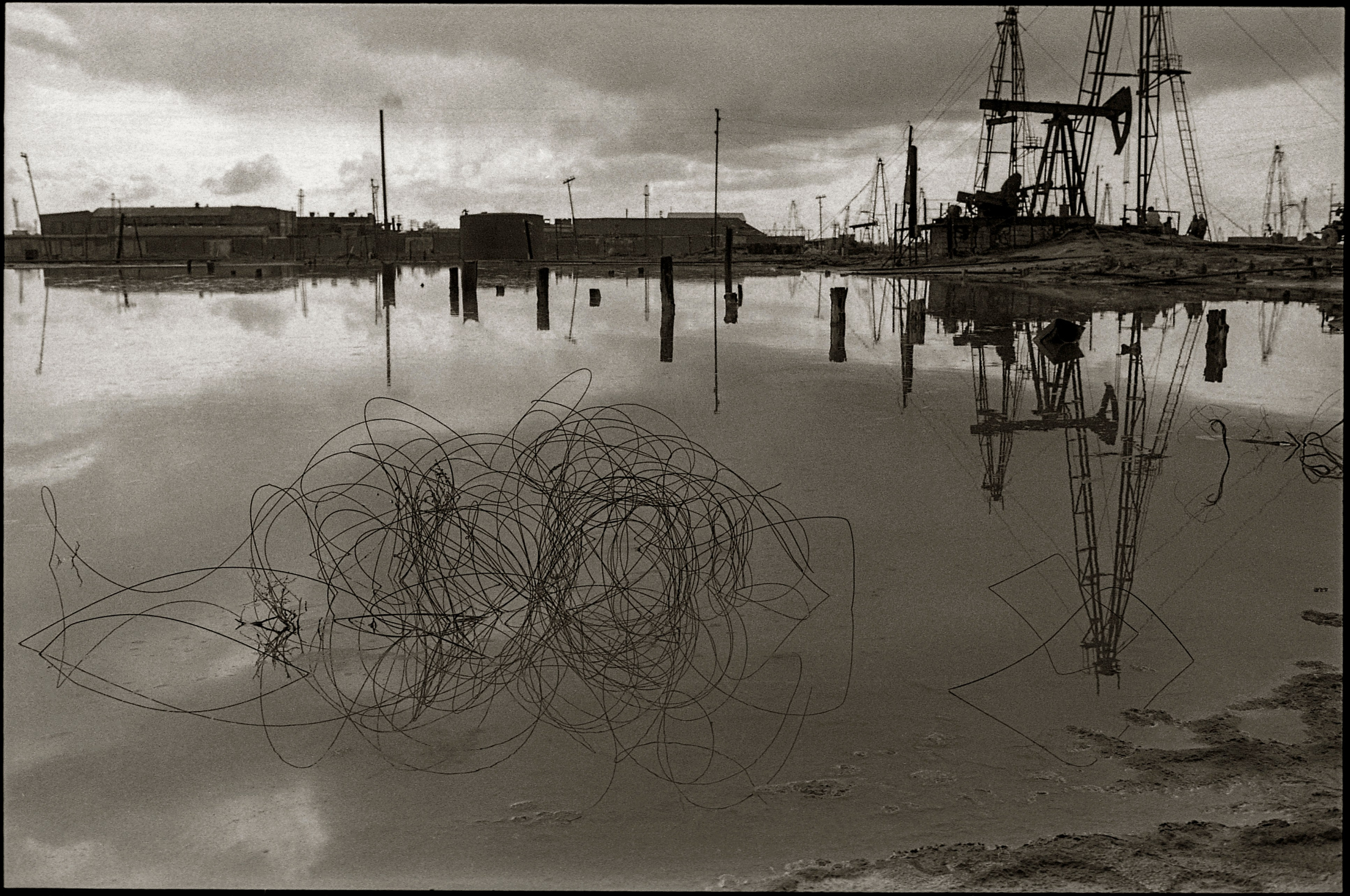 FIELD OF THE MASTER. Www.sananaleskerov.com