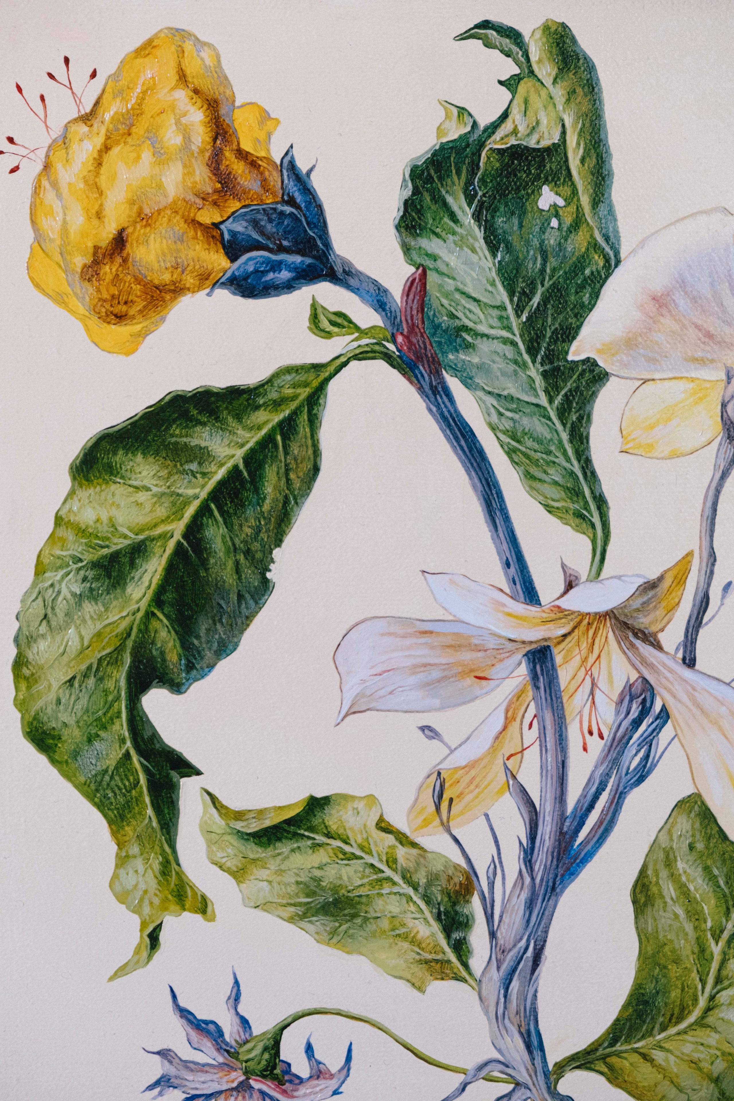 Botanical Etude No. 3. ELEN BEZHEN