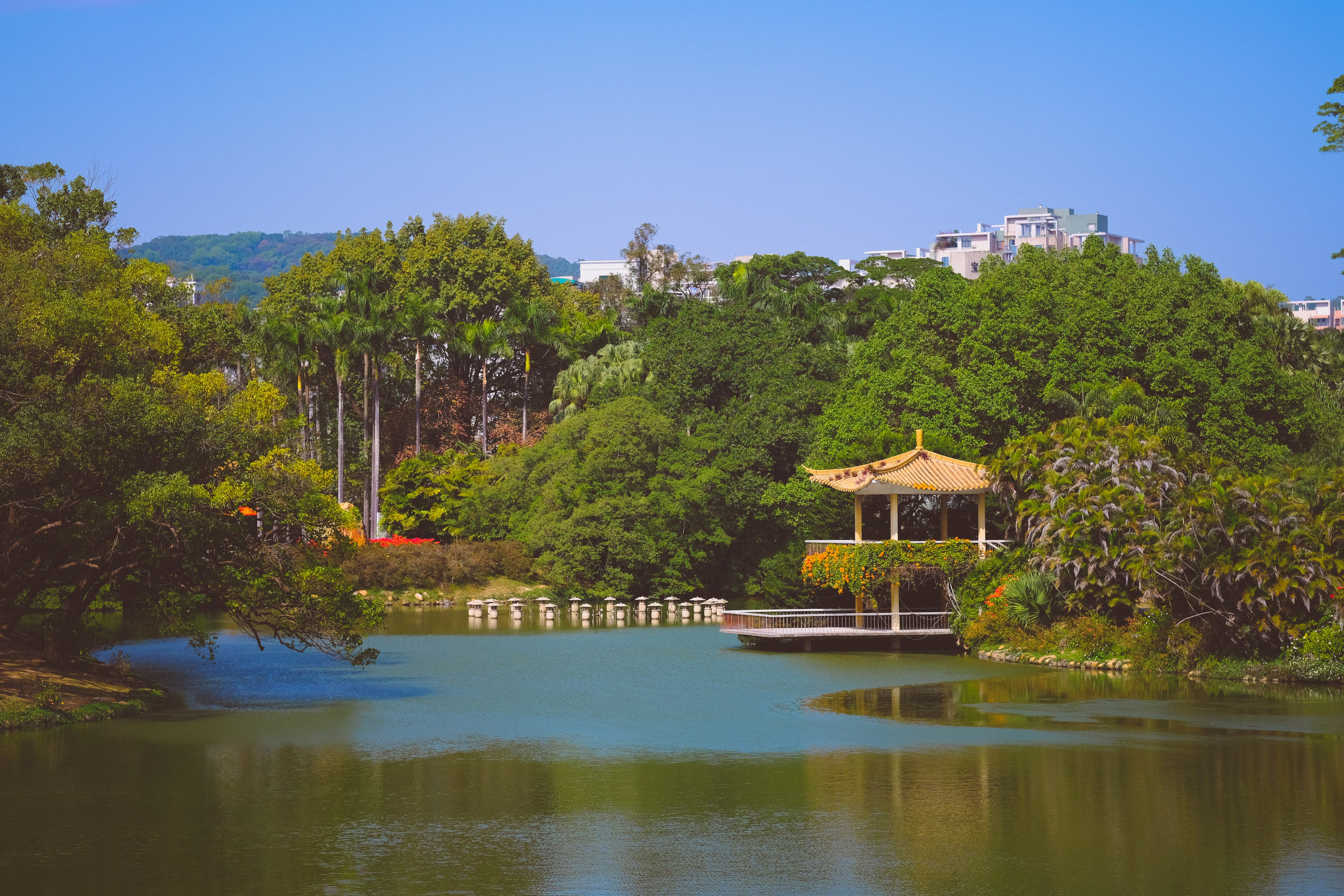View Botanical Garden Guangzhou | 华南国家植物园 🇨🇳 | China