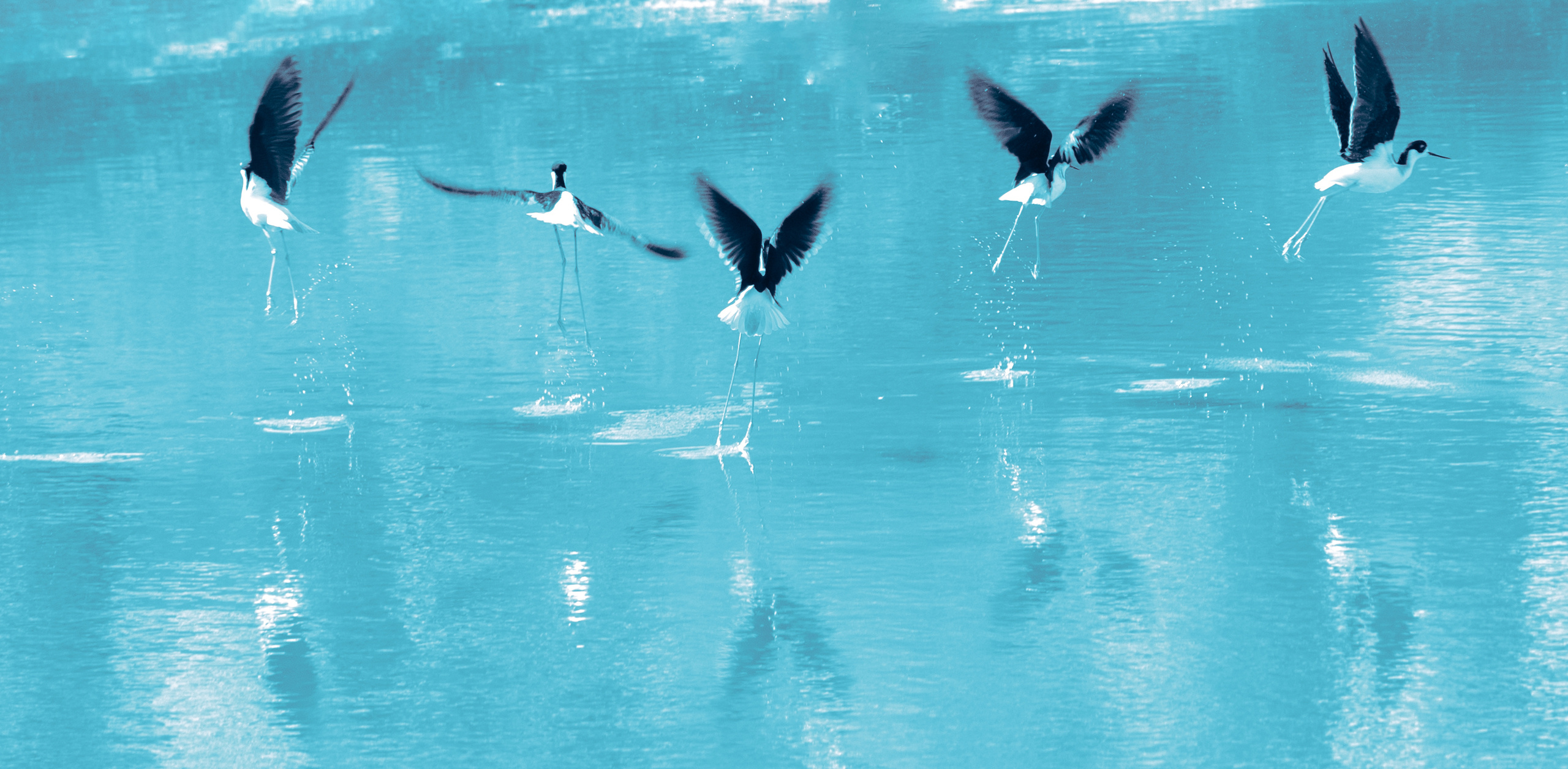 Легенды мёртвого озера