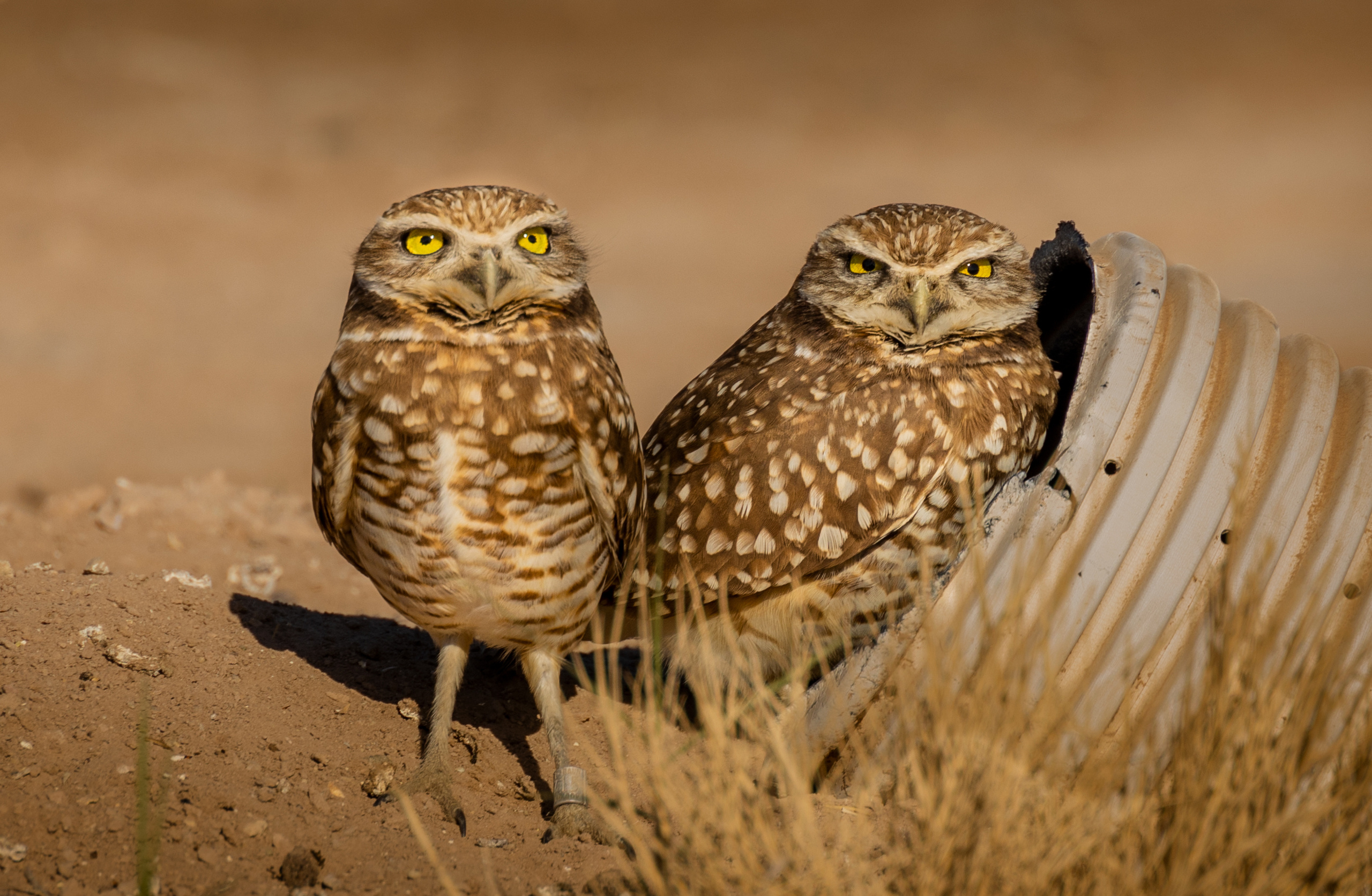 Olga Serebryannaya Travel Photography